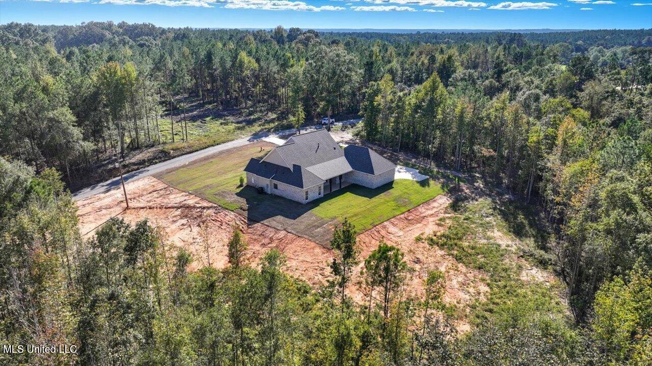 204 A D Mclendon Road Mendenhall, MS 39114 - Photo 66 of 73 65-204 A D Mclendon Rd _ Home Tours MS