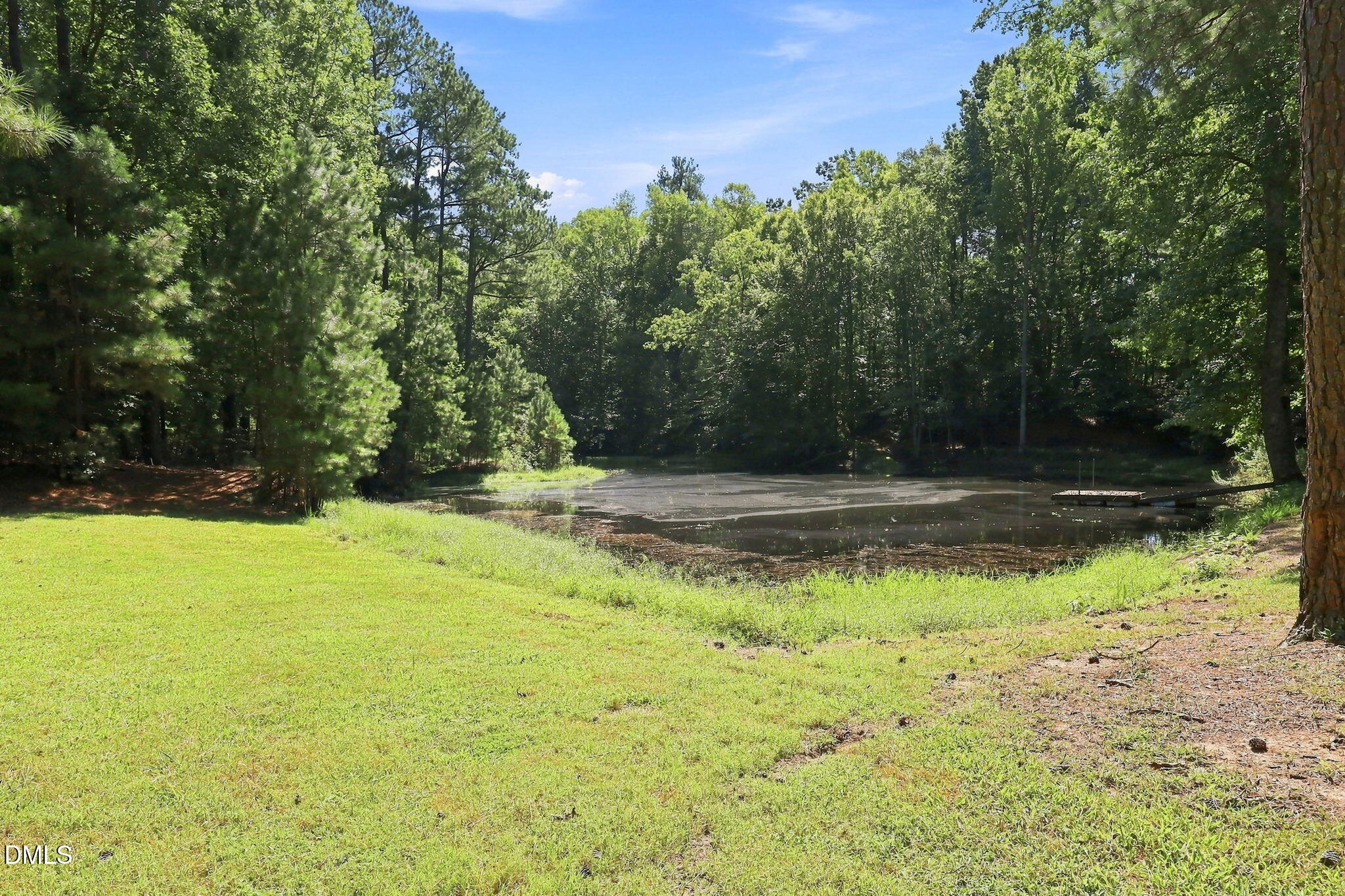 3590 Tom Hunt Road Oxford, NC 27565 - Photo 55 of 67 Pond