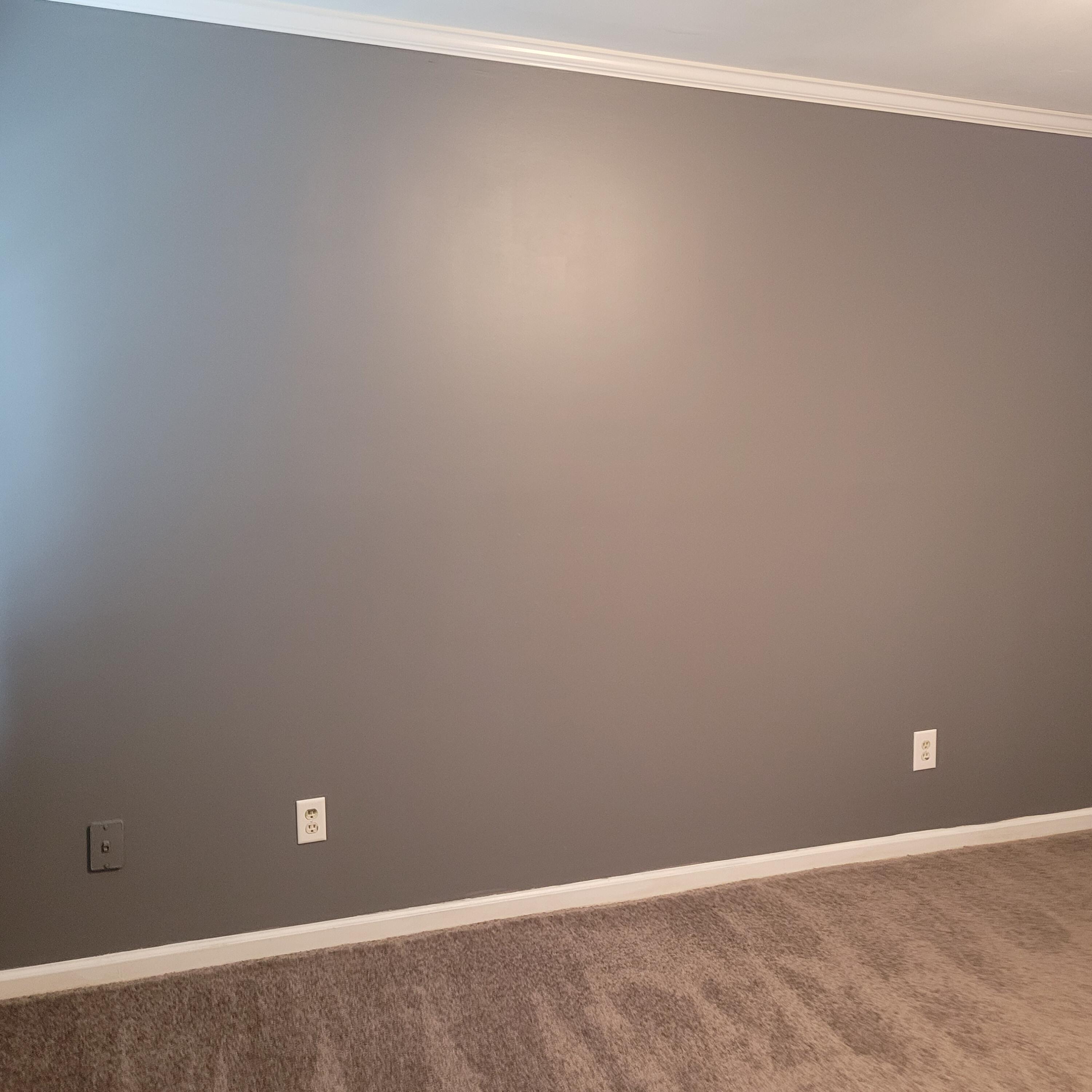 128 Two Hitch Road Goose Creek, SC 29445 - Photo 13 of 23 Master bedroom3