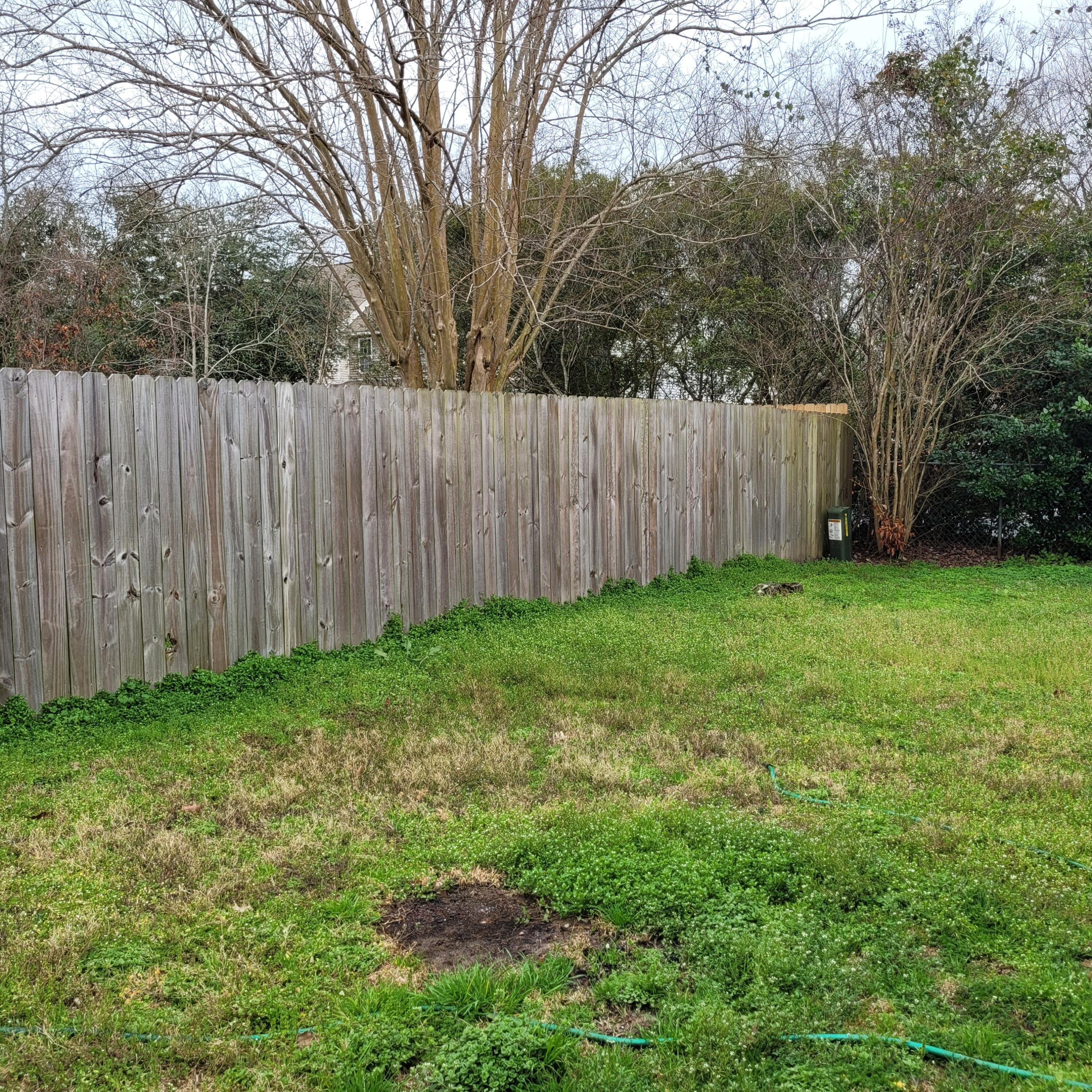 128 Two Hitch Road Goose Creek, SC 29445 - Photo 21 of 23 Backyard