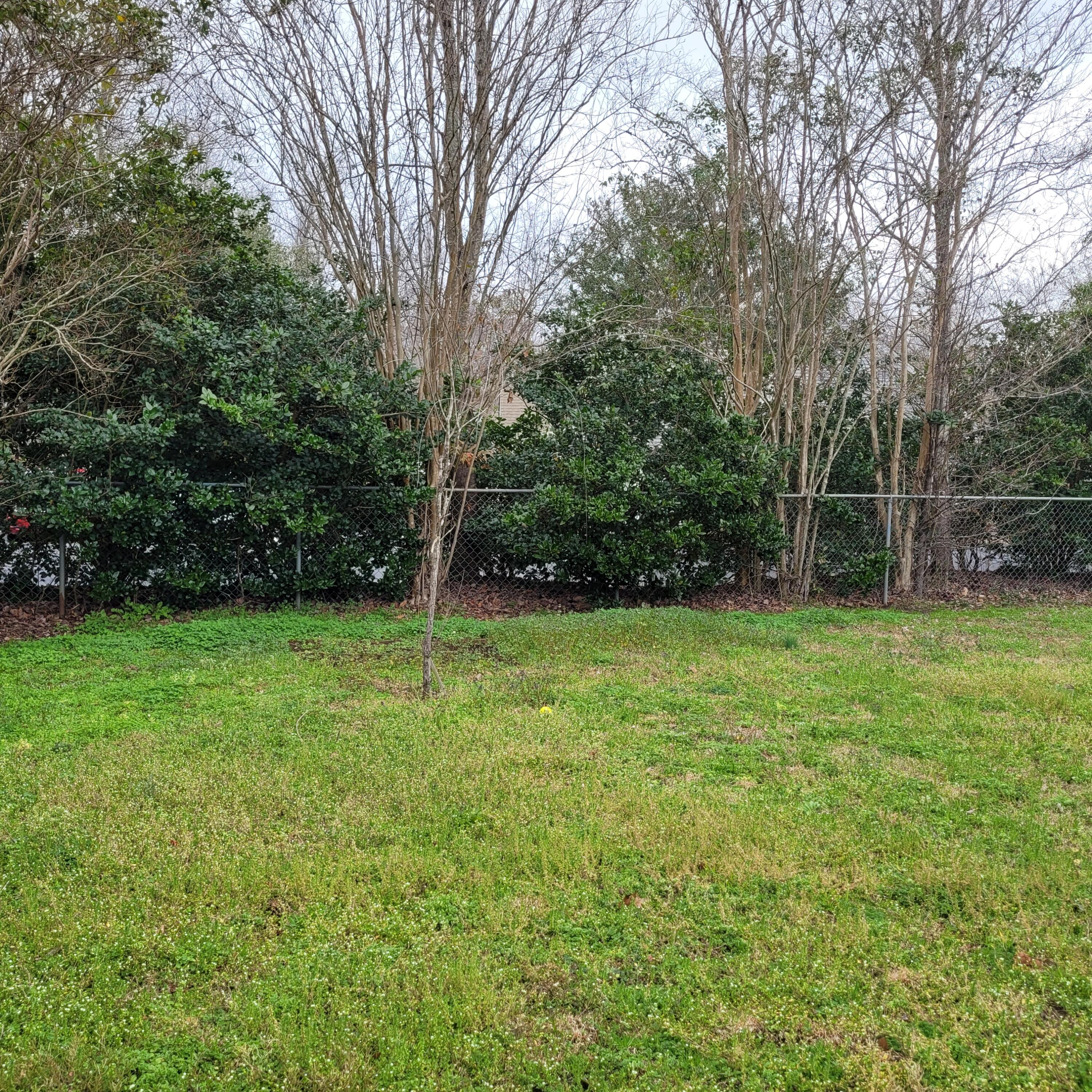 128 Two Hitch Road Goose Creek, SC 29445 - Photo 22 of 23 Backyard2