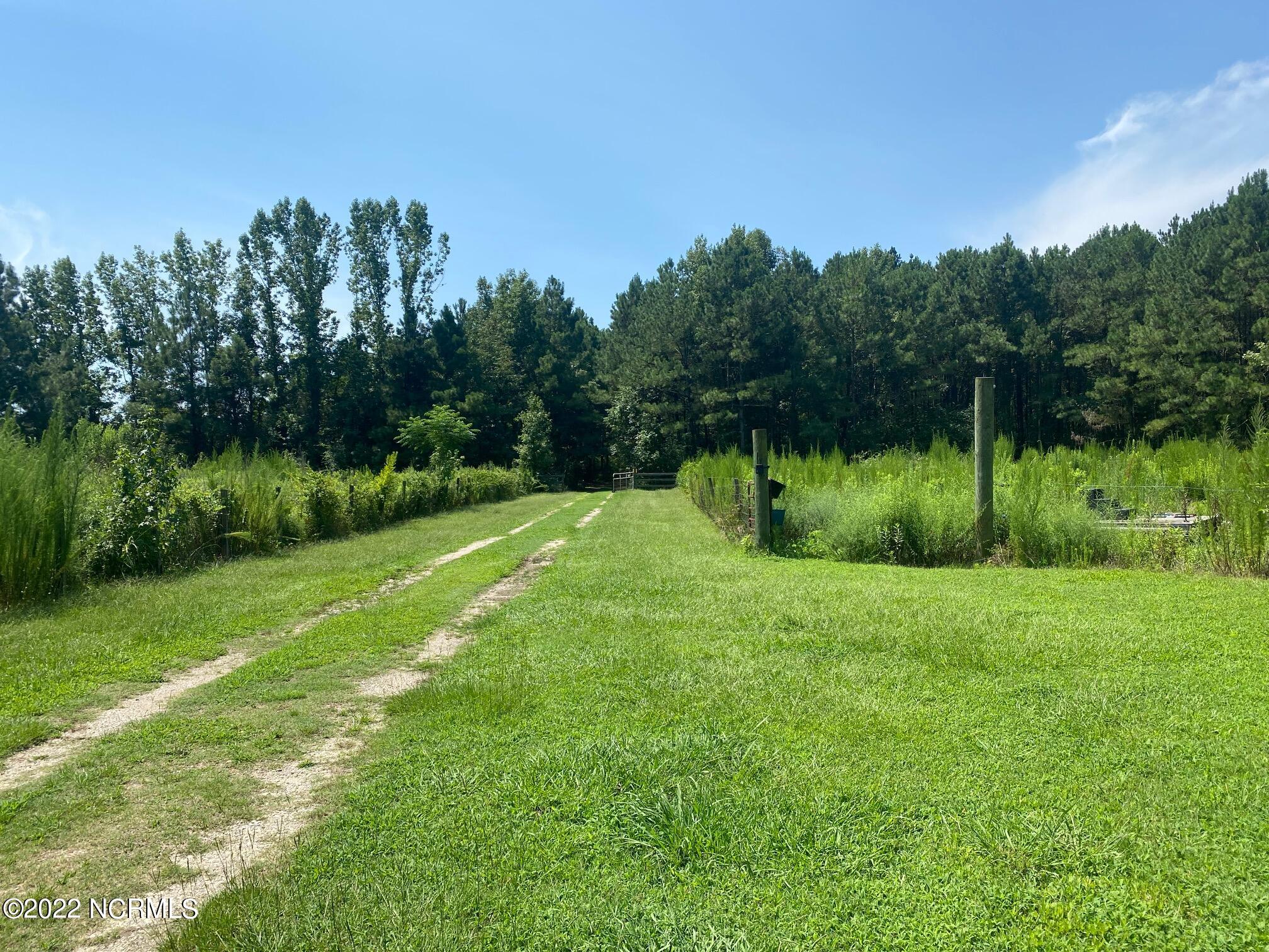 4669 Matthews Road Wilson, NC 27893 - Photo 3 of 10 matthews pasture