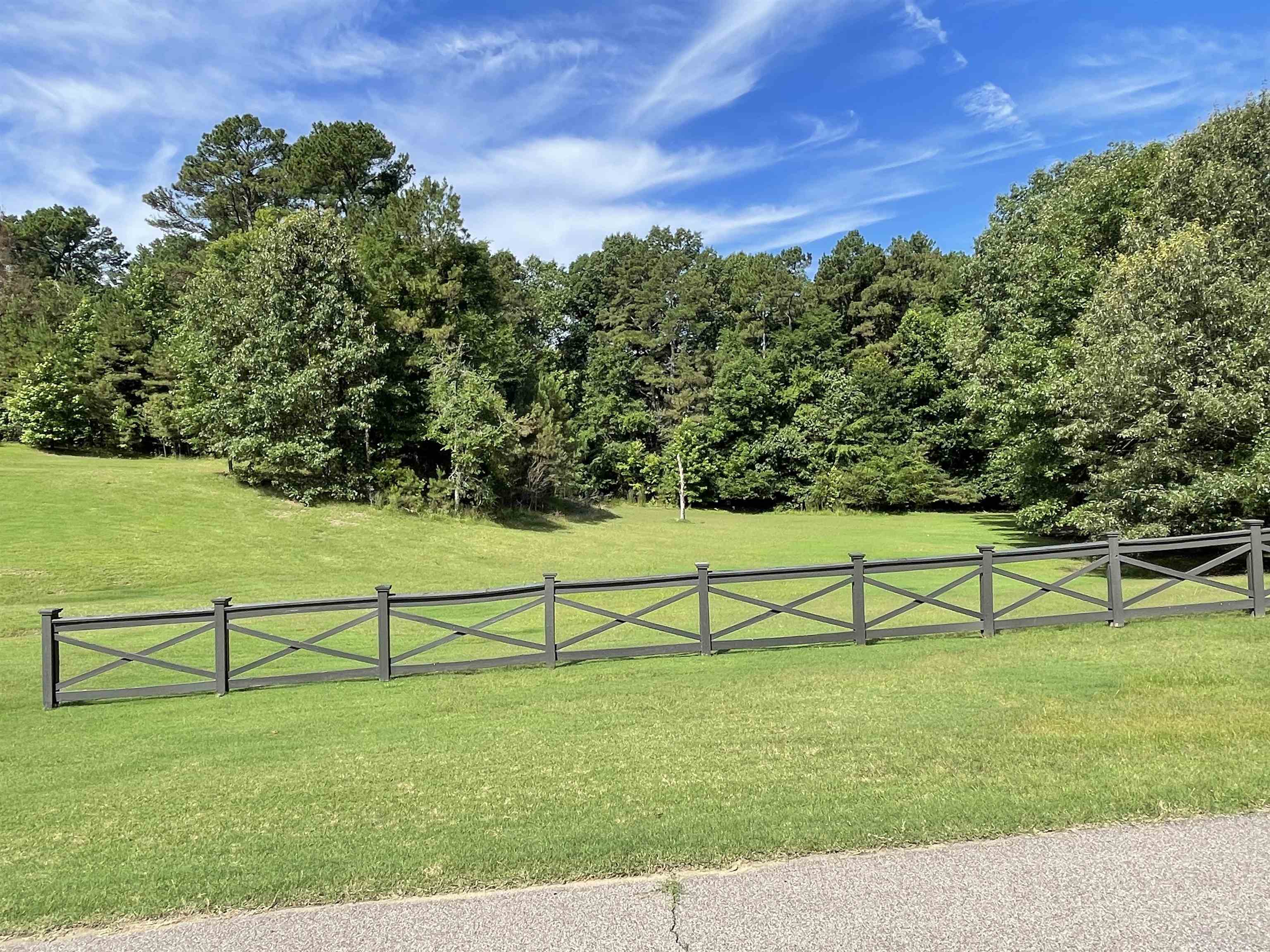 305 Wickliff Creek Road Eads, TN 38028 - Photo 17 of 21