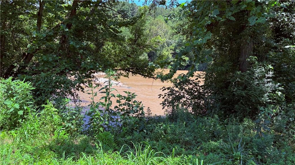 Tbd Rockford Road Dobson, NC 27017 - Photo 13 of 14