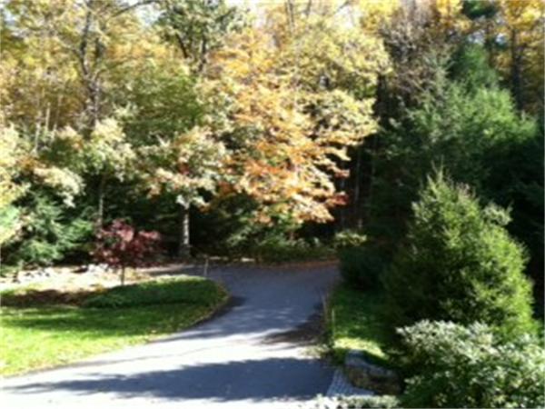 92 Slough Road Harvard, MA 01451 - Photo 30 of 30 a view of a yard with plants and large trees