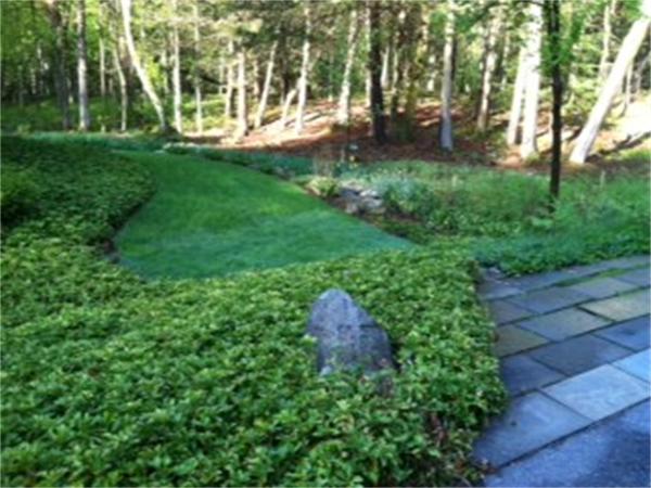 92 Slough Road Harvard, MA 01451 - Photo 6 of 30 a view of a backyard with large trees