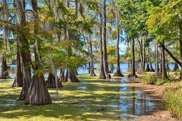 2028 Hardwater Lake Road Pollock, LA 71467 - Photo 5 of 54 Gallery Image 5