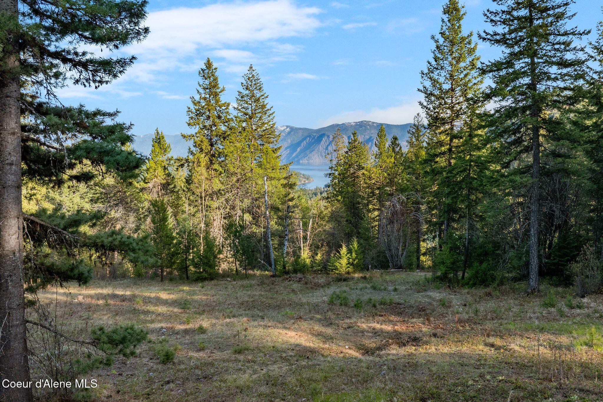 Lot A Lot A Spring View Lane Sagle, ID 83860 - Photo 13 of 26 11_DJI_20250424083419_0463_D_M3PRO