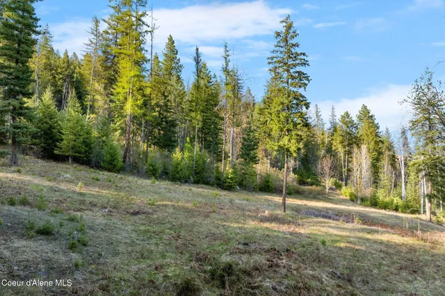 $130,000 | Lot A Lot A Spring View Lane, Sagle, ID 83860