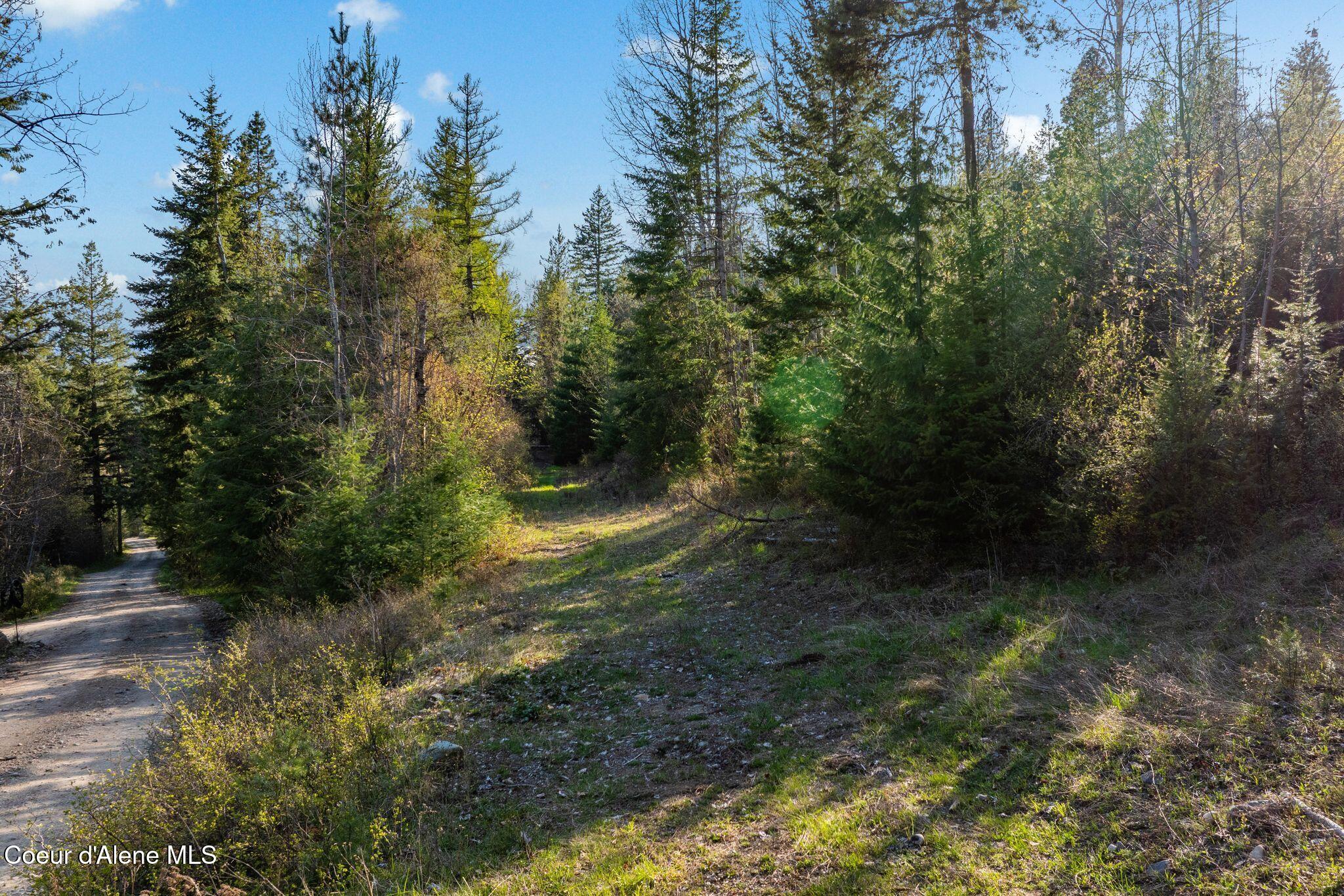 Lot A Lot A Spring View Lane Sagle, ID 83860 - Photo 4 of 26 2_DJI_20250424083057_0393_D_M3PRO