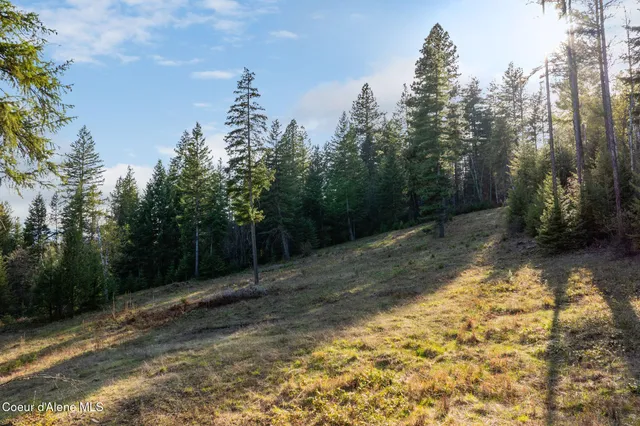 $130,000 | Lot A Lot A Spring View Lane, Sagle, ID 83860