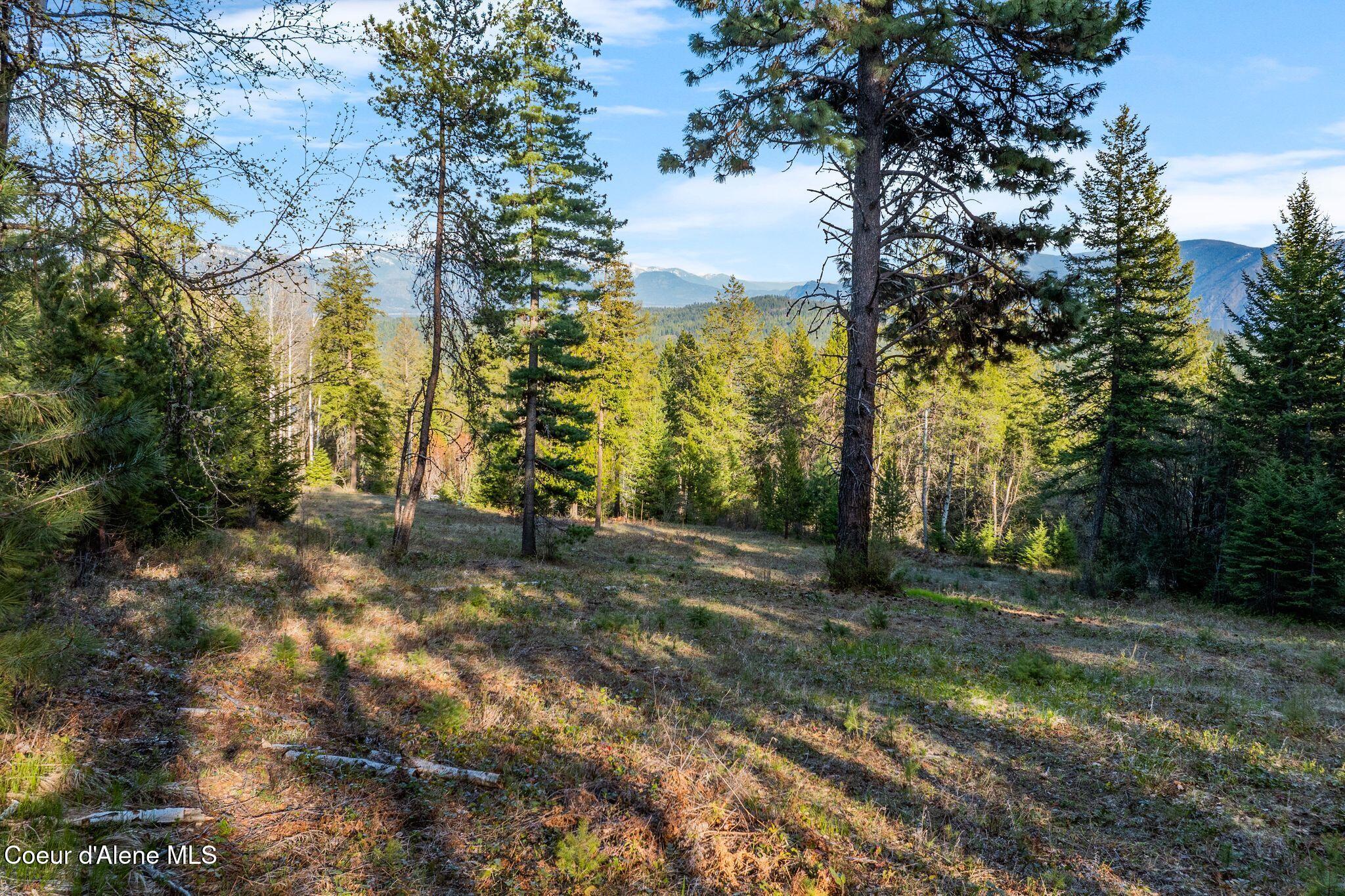 Lot A Lot A Spring View Lane Sagle, ID 83860 - Photo 8 of 26 6_DJI_20250424083303_0428_D_M3PRO