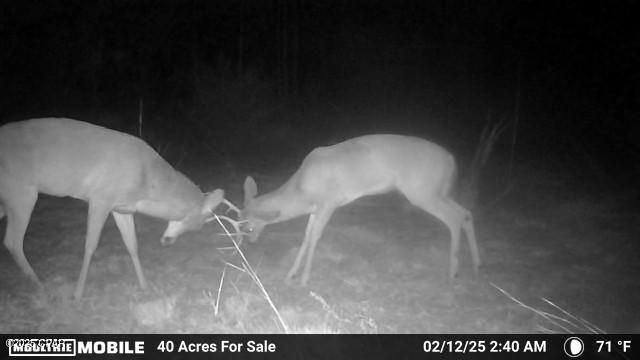 6157 Martin Sewell Road Altha, FL 32421 - Photo 1 of 37 Gallery Image 1
