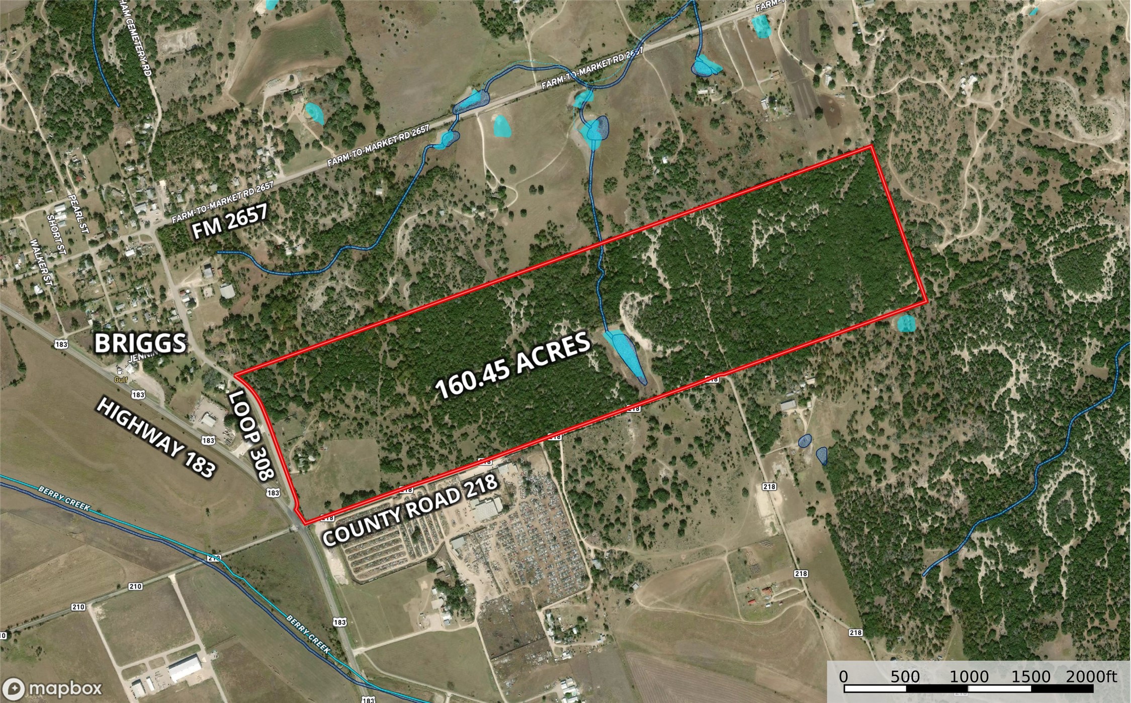 112 Loop 308 Briggs, TX 78608 - Photo 7 of 37 Map / location featuring property parcel outlined