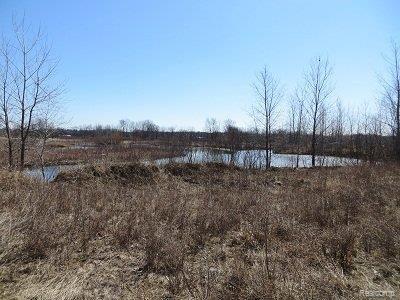 Lot A Munsell Road Fowlerville, MI 48836 - Photo 10 of 11 50Pond.JPG