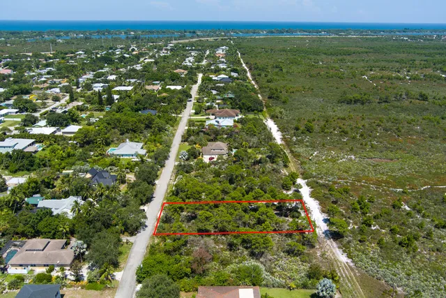 an aerial view of residential houses with outdoor space and trees