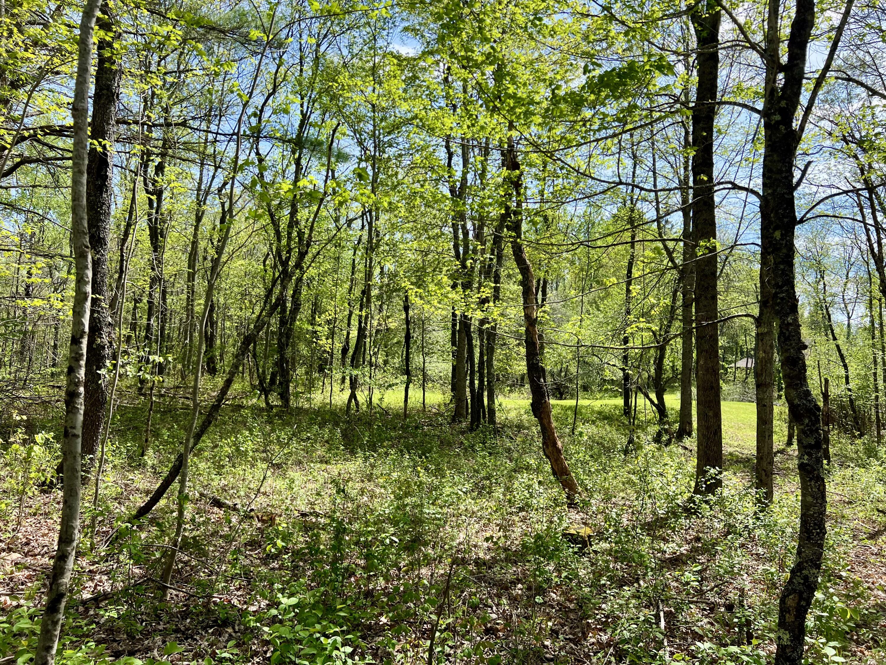 517 Bog Road Jackson, ME 04921 - Photo 18 of 21 IMG_4727