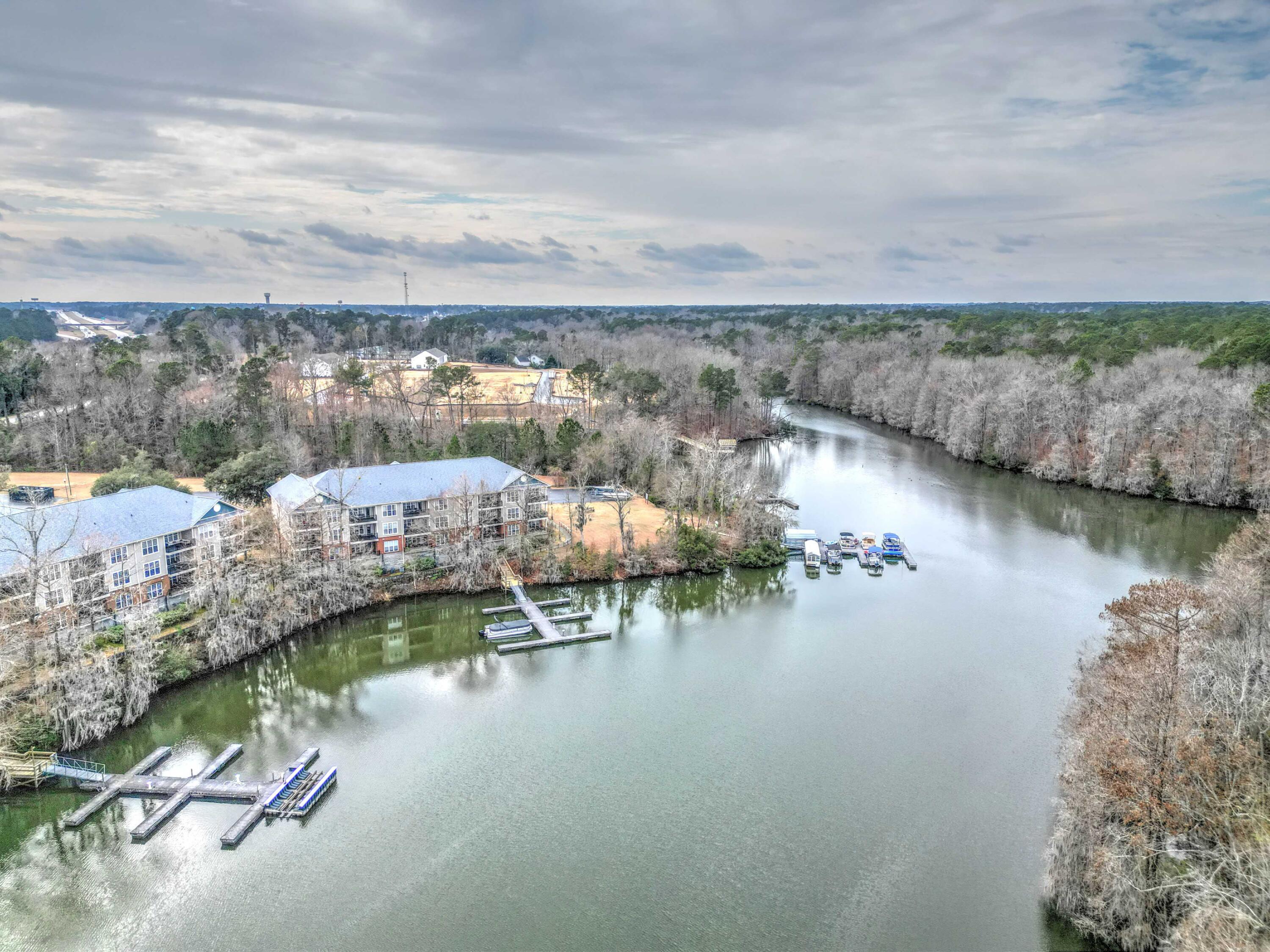 520 Trillium Court Santee, SC 29142 - Photo 47 of 47 DJI_0638_39_40Optimizer Custom Settings