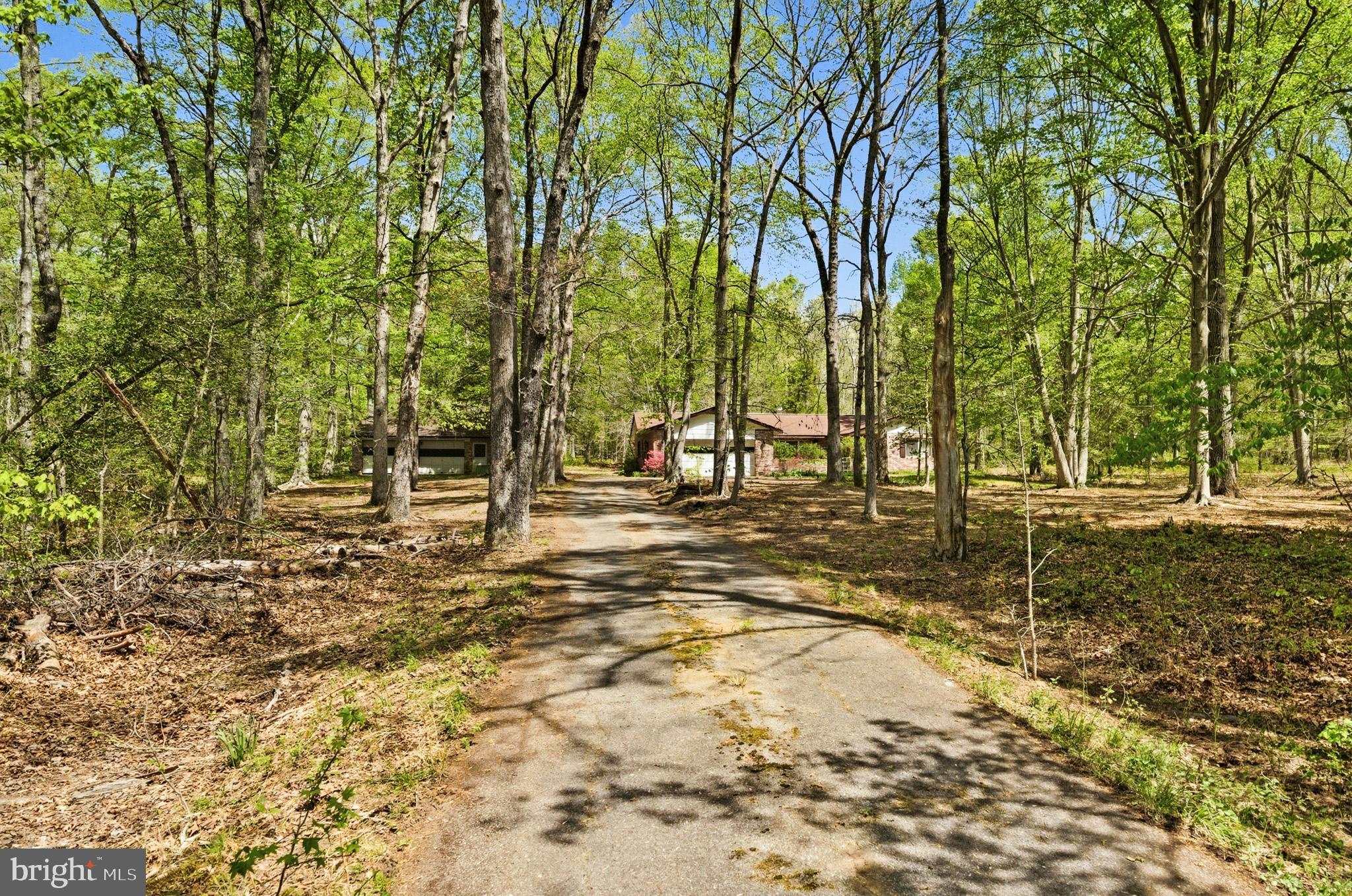 2270 Liverpool Point Road Nanjemoy, MD 20662 - Photo 39 of 39 Driveway