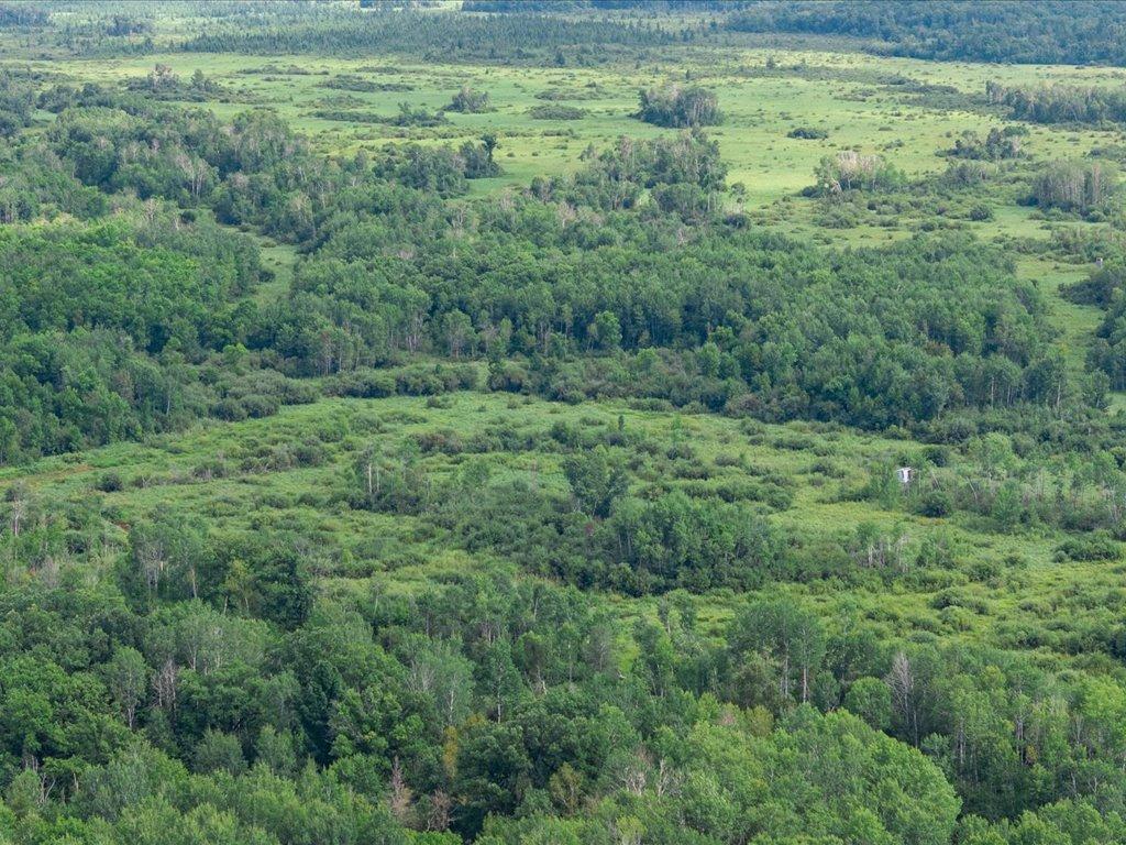 Tbd Azalea Road Motley, MN 56466 - Photo 22 of 39 Gallery Image 22