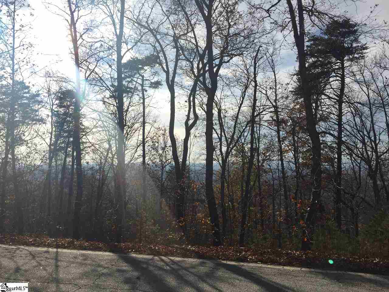 0 Altamont Road, Unit LOT 1 Greenville, SC 29609 - Photo 1 of 1