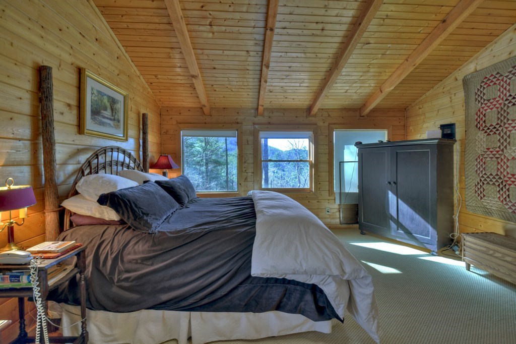 212 Dream Cove Road Cherry Log, GA 30522 - Photo 27 of 53