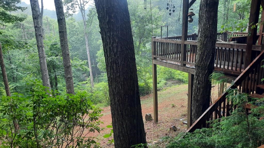 212 Dream Cove Road Cherry Log, GA 30522 - Photo 38 of 53