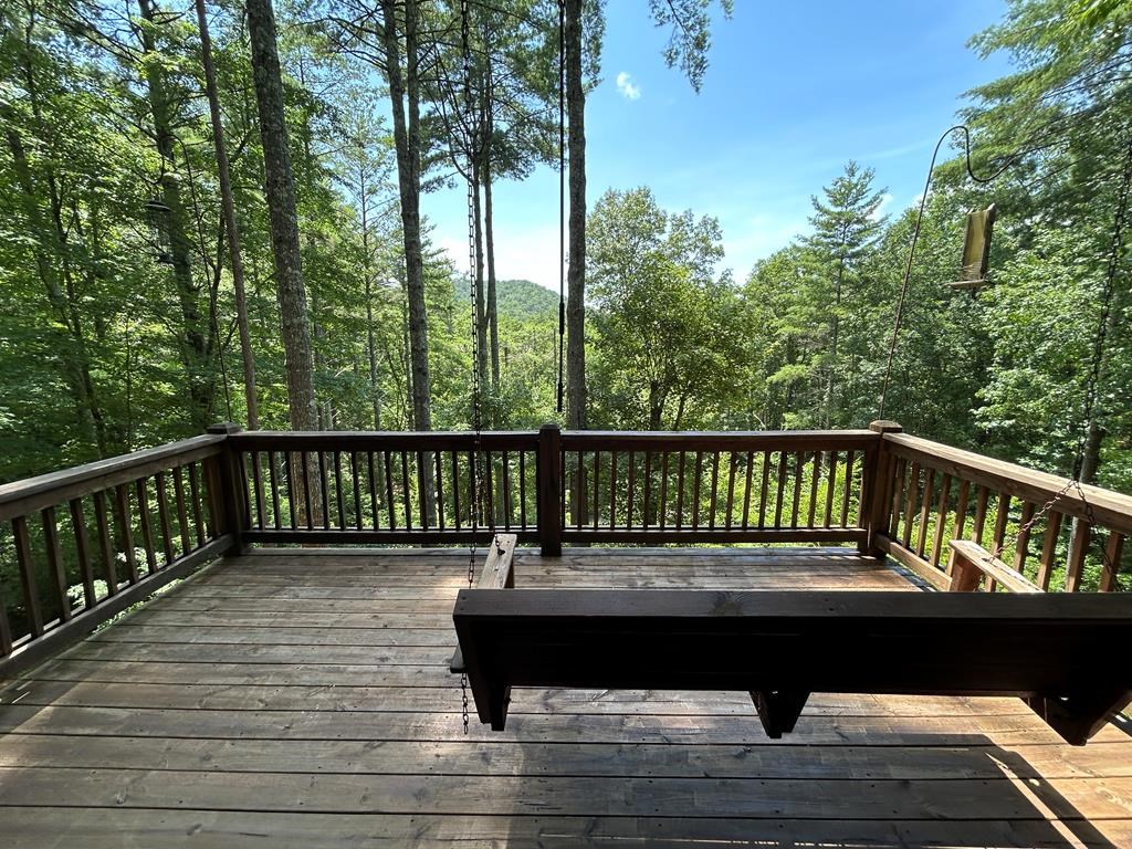 212 Dream Cove Road Cherry Log, GA 30522 - Photo 5 of 53