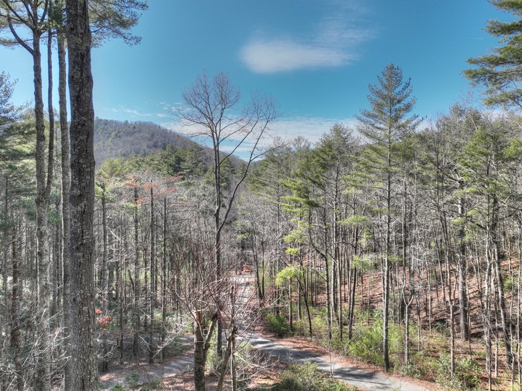 212 Dream Cove Road Cherry Log, GA 30522 - Photo 10 of 53