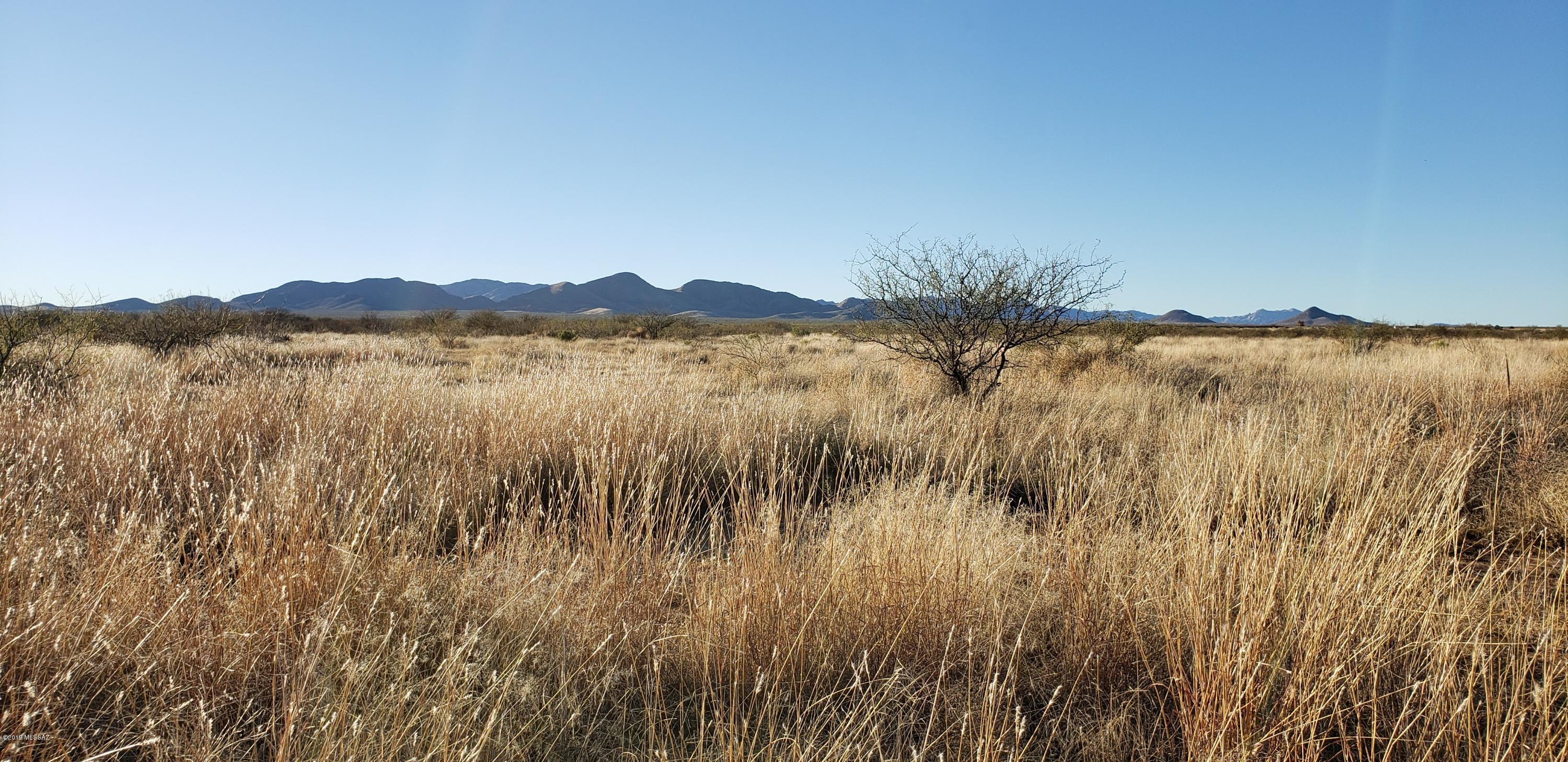 80-acres West Webb Road Elfrida, AZ 85610 - Photo 7 of 8 Gallery Image 7