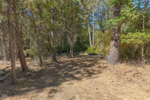 2499 Cedar Flat Road Williams, OR 97544 - Photo 42 of 50 Gallery Image 42