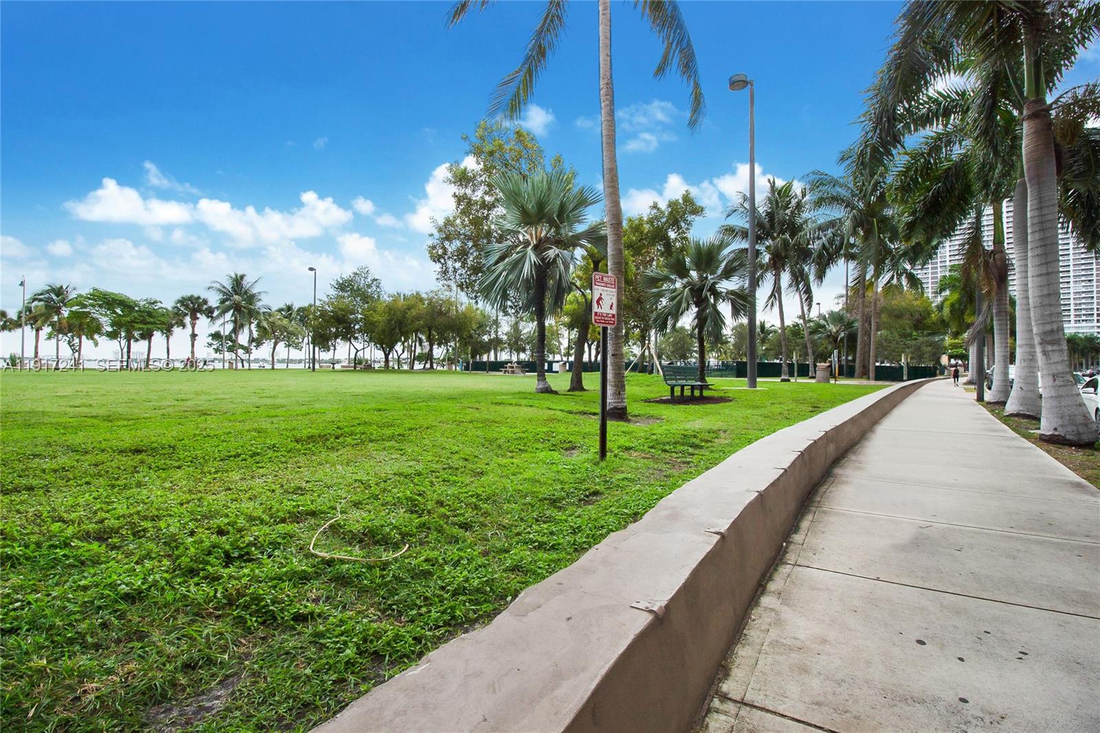 2001 Biscayne Boulevard, Unit 2409 Miami, FL 33137 - Photo 43 of 48 a view of a park with palm trees