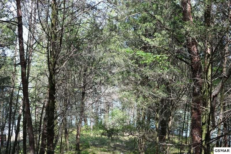 0 Lot 35 Buck Horn Road Sevierville, TN 37876 - Photo 15 of 30