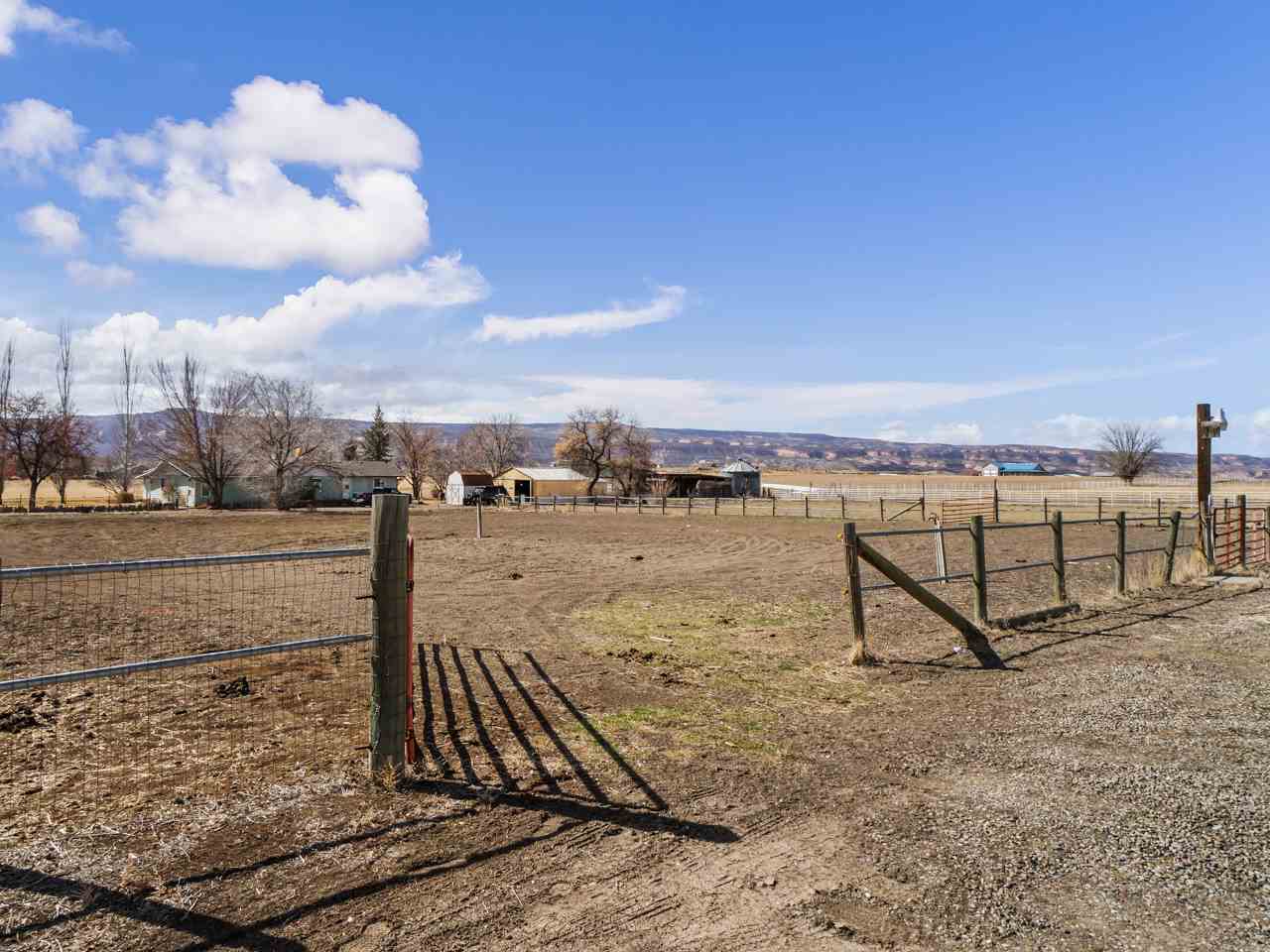 1195 19 Road Fruita, CO 81521 - Photo 28 of 31 a view of a terrace
