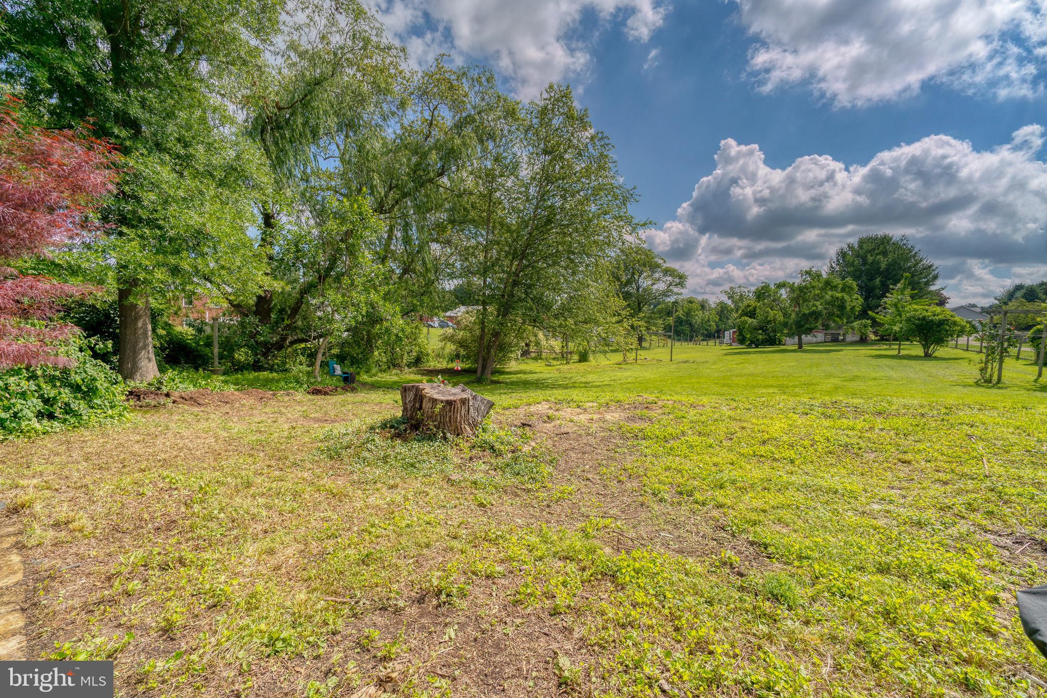 1728 Appleton Road Elkton, MD 21921 - Photo 31 of 36 a view of a yard with an outdoor space