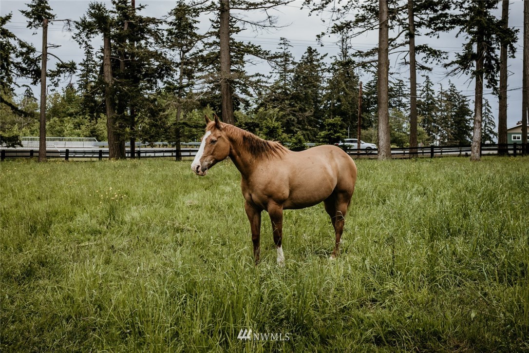 6099 State Rte 20 Anacortes, WA 98221 - Photo 37 of 39