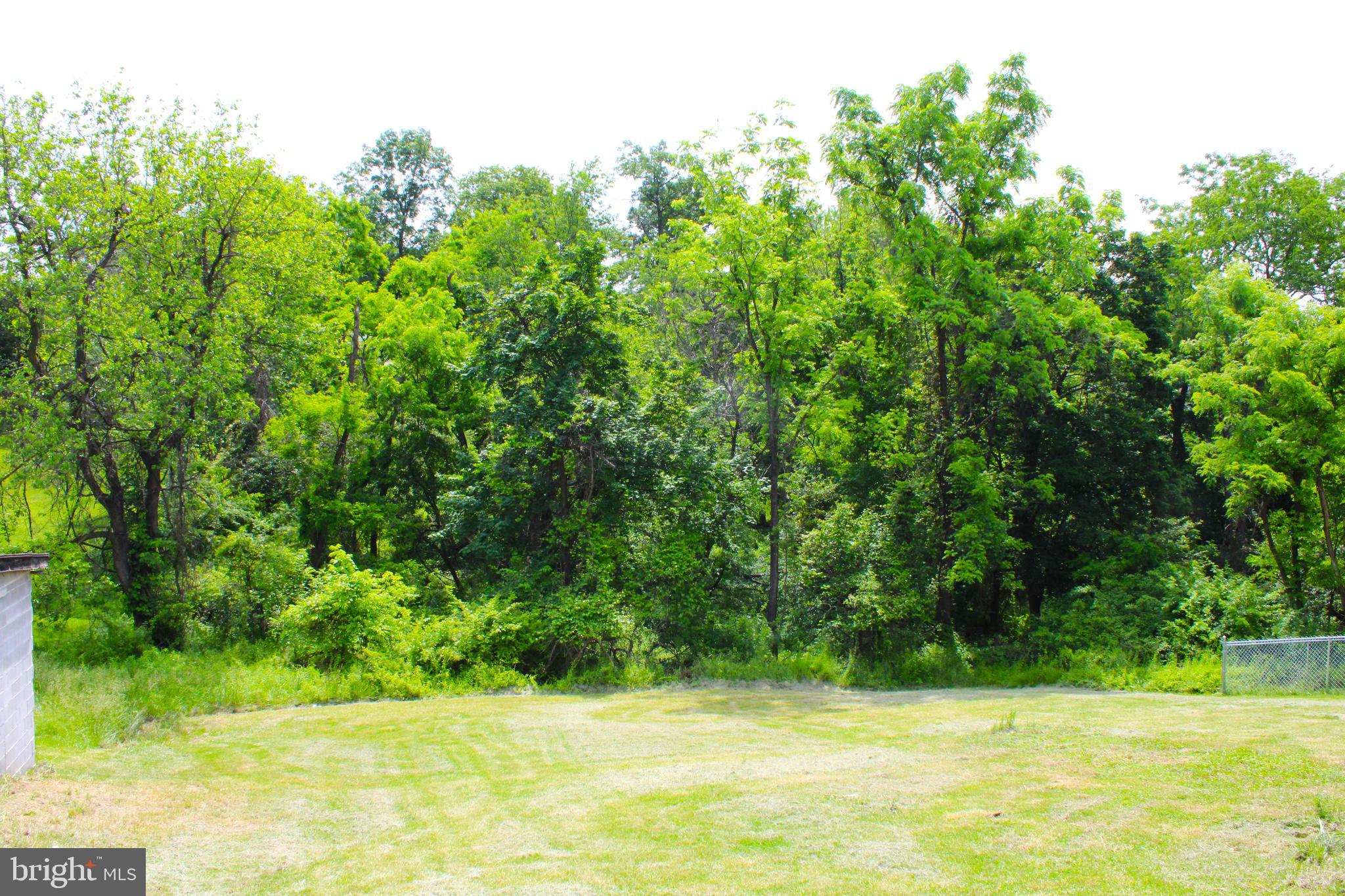 550 Winifred Road Cumberland, MD 21502 - Photo 20 of 81 Rear Yard View 3
