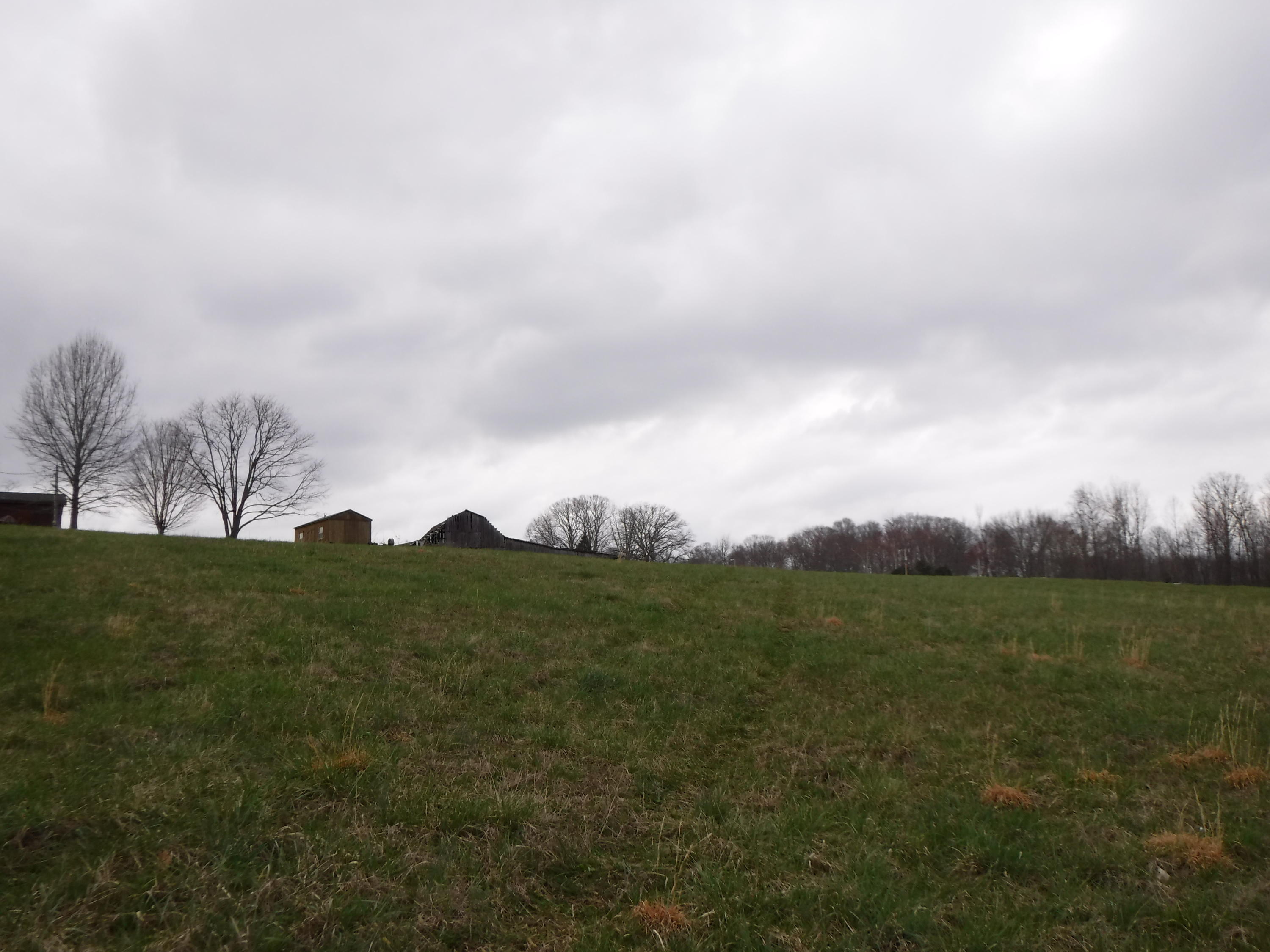 25.10 Summer Shade Road Allons, TN 38541 - Photo 2 of 18 03072018 029