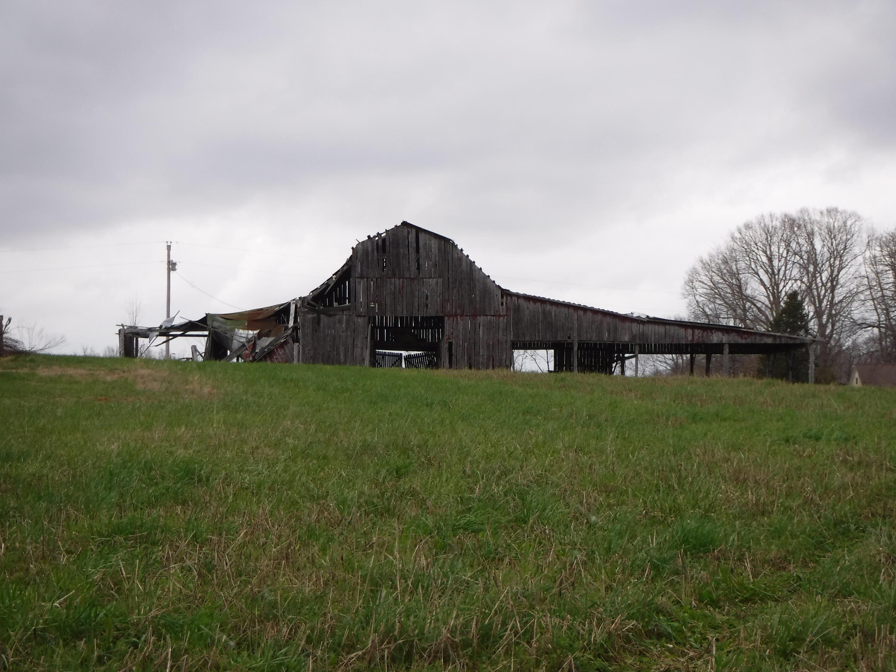 25.10 Summer Shade Road Allons, TN 38541 - Photo 11 of 18 03072018 030
