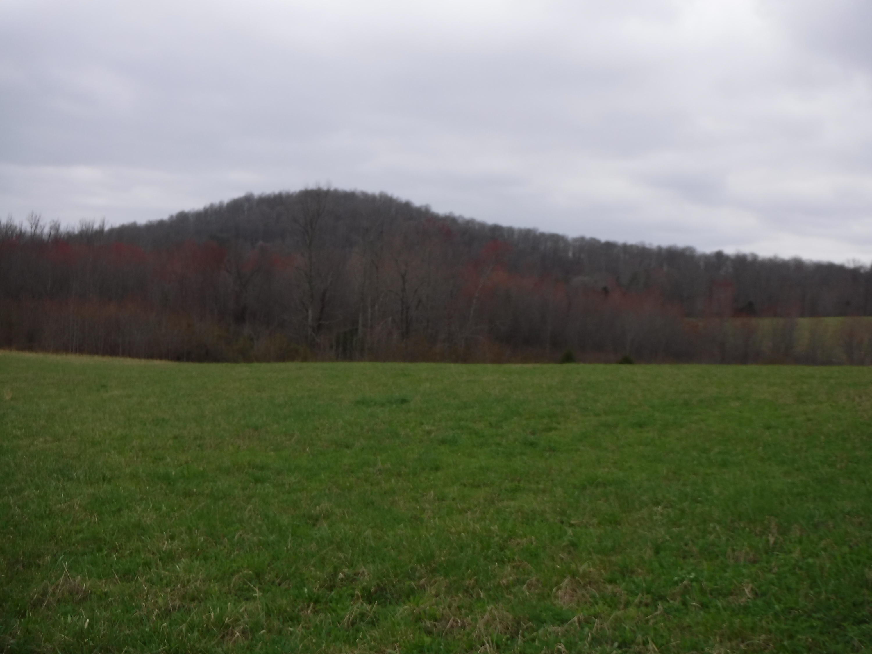25.10 Summer Shade Road Allons, TN 38541 - Photo 3 of 18 03072018 017