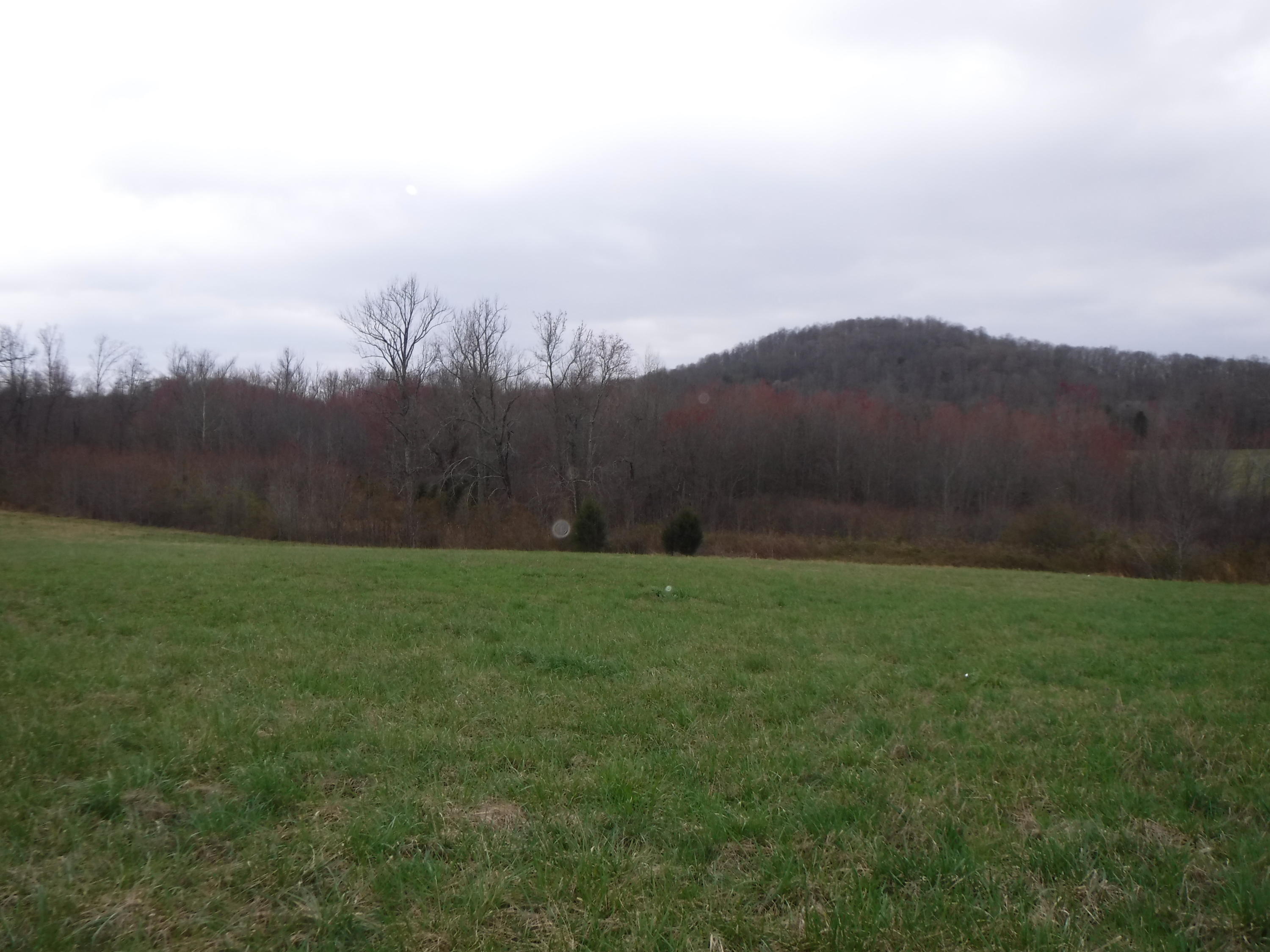 25.10 Summer Shade Road Allons, TN 38541 - Photo 4 of 18 03072018 018