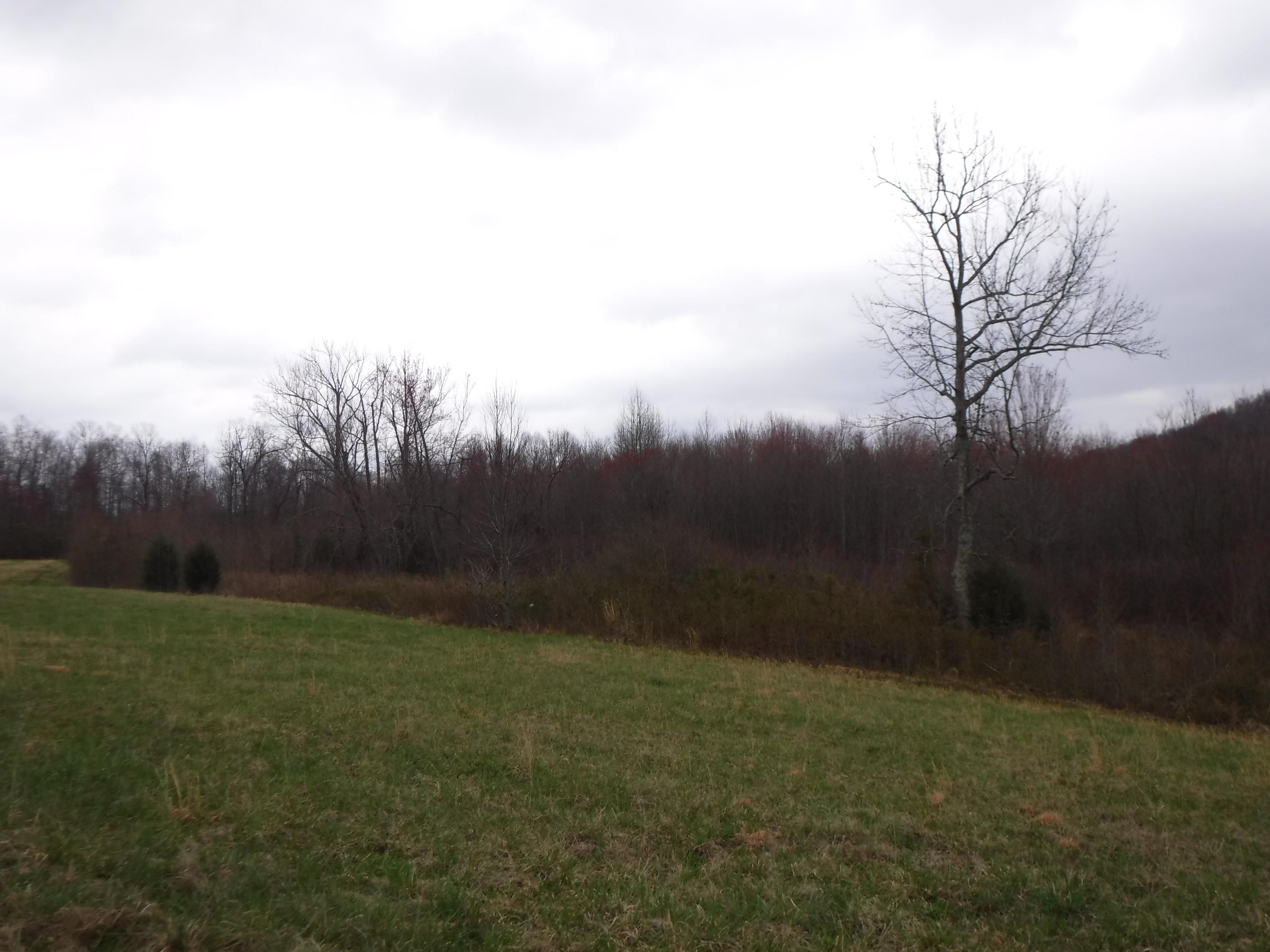 25.10 Summer Shade Road Allons, TN 38541 - Photo 5 of 18 03072018 021