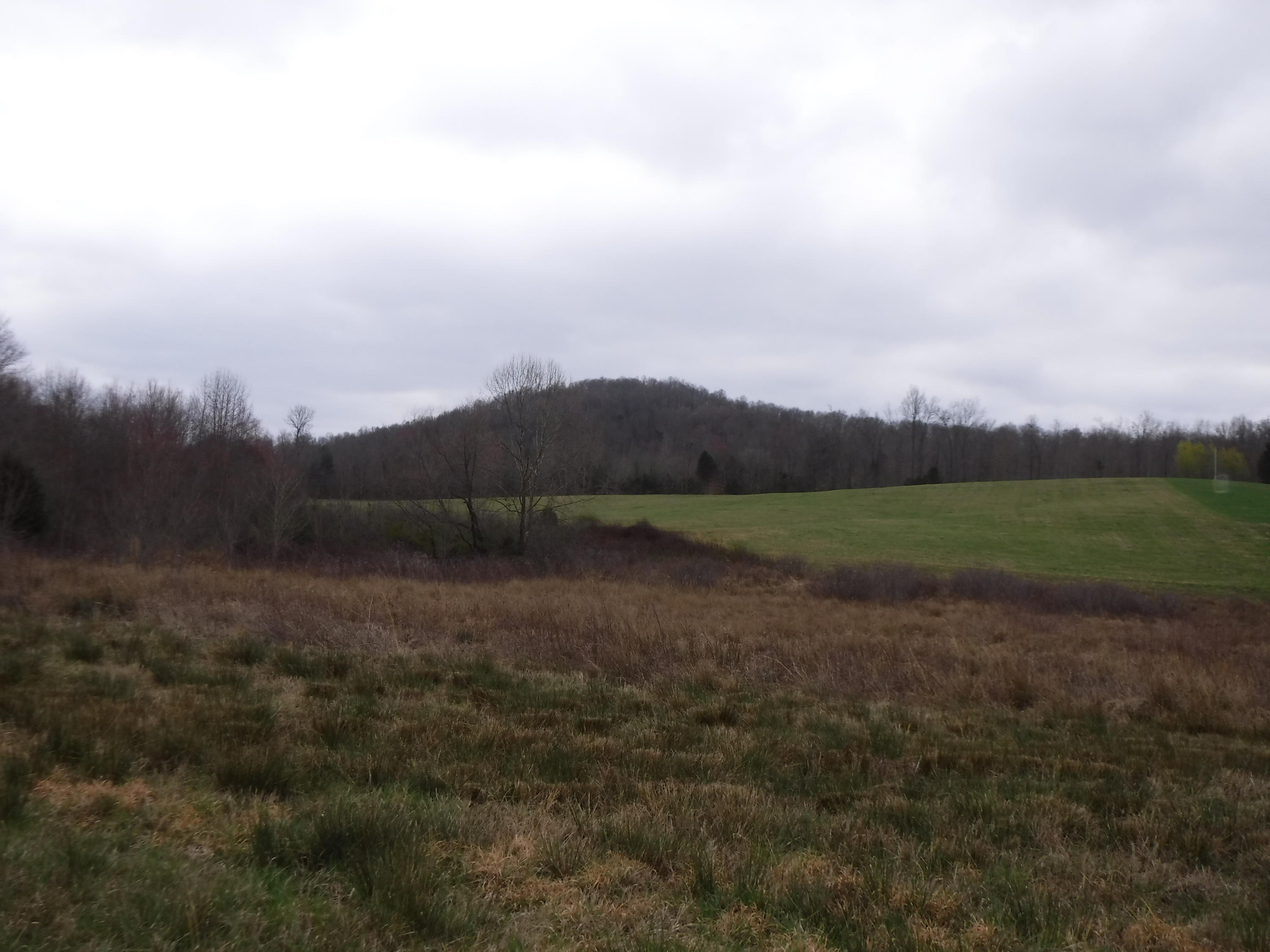 25.10 Summer Shade Road Allons, TN 38541 - Photo 6 of 18 03072018 024