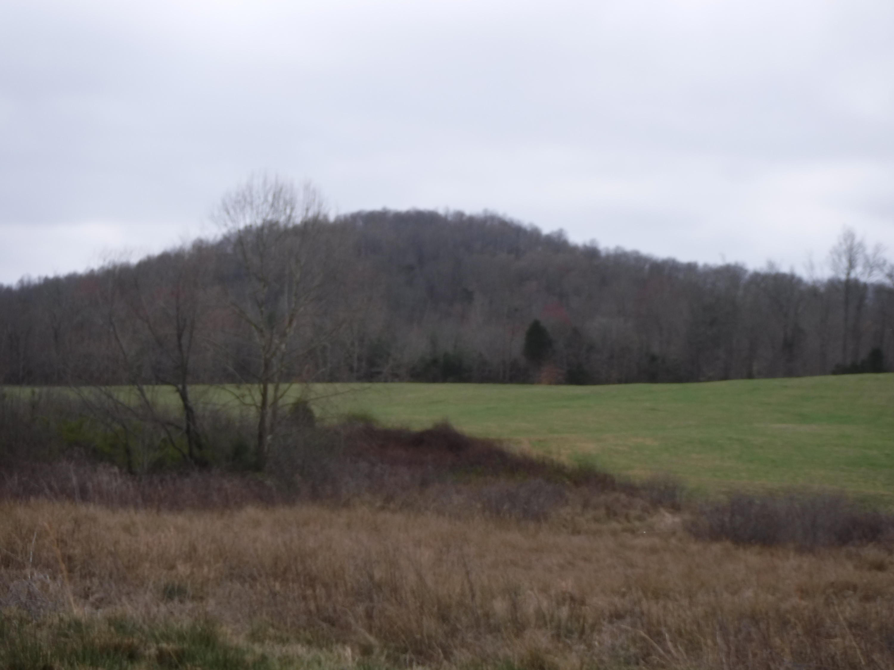 25.10 Summer Shade Road Allons, TN 38541 - Photo 7 of 18 03072018 026