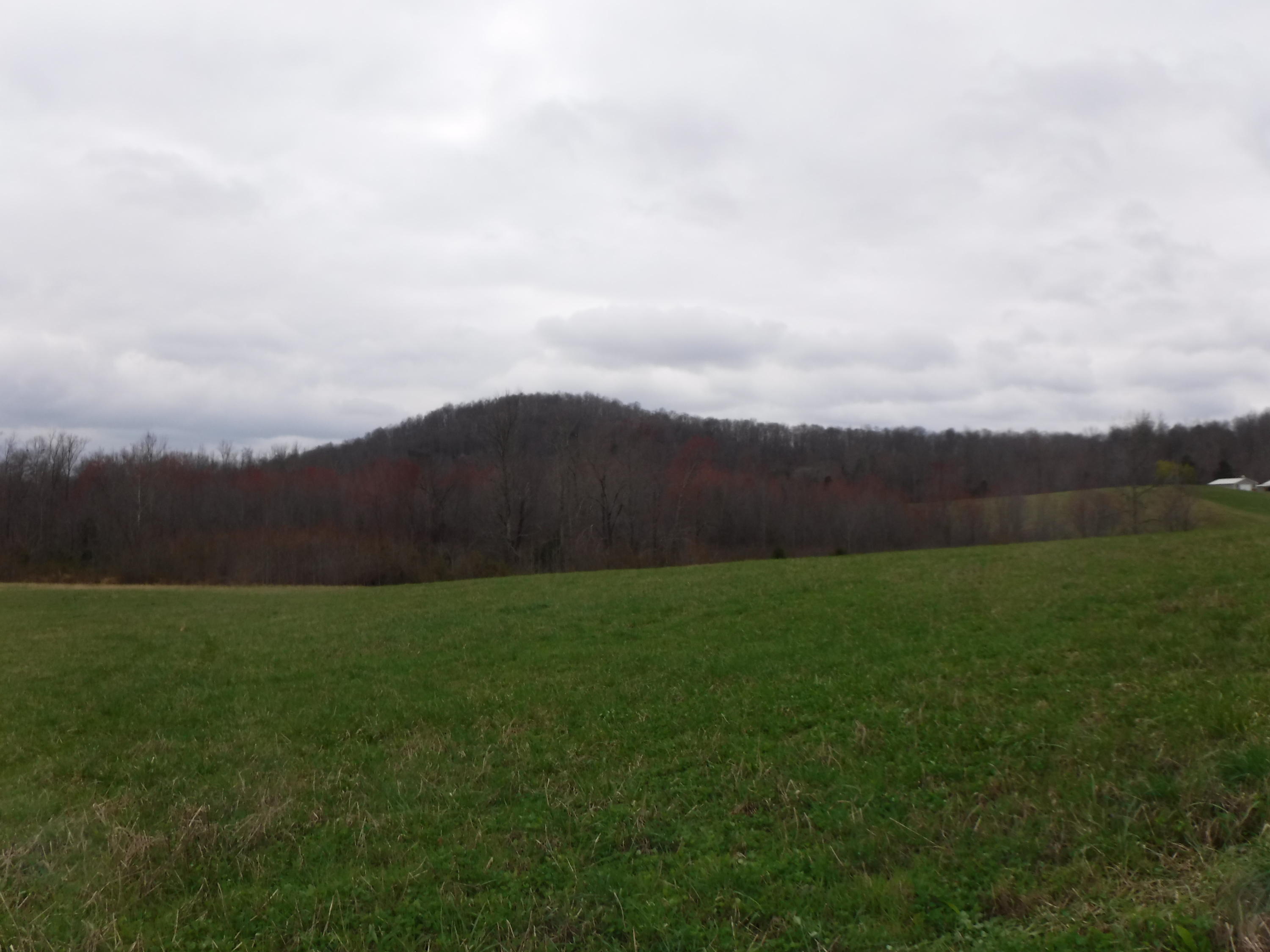 25.10 Summer Shade Road Allons, TN 38541 - Photo 8 of 18 03072018 032