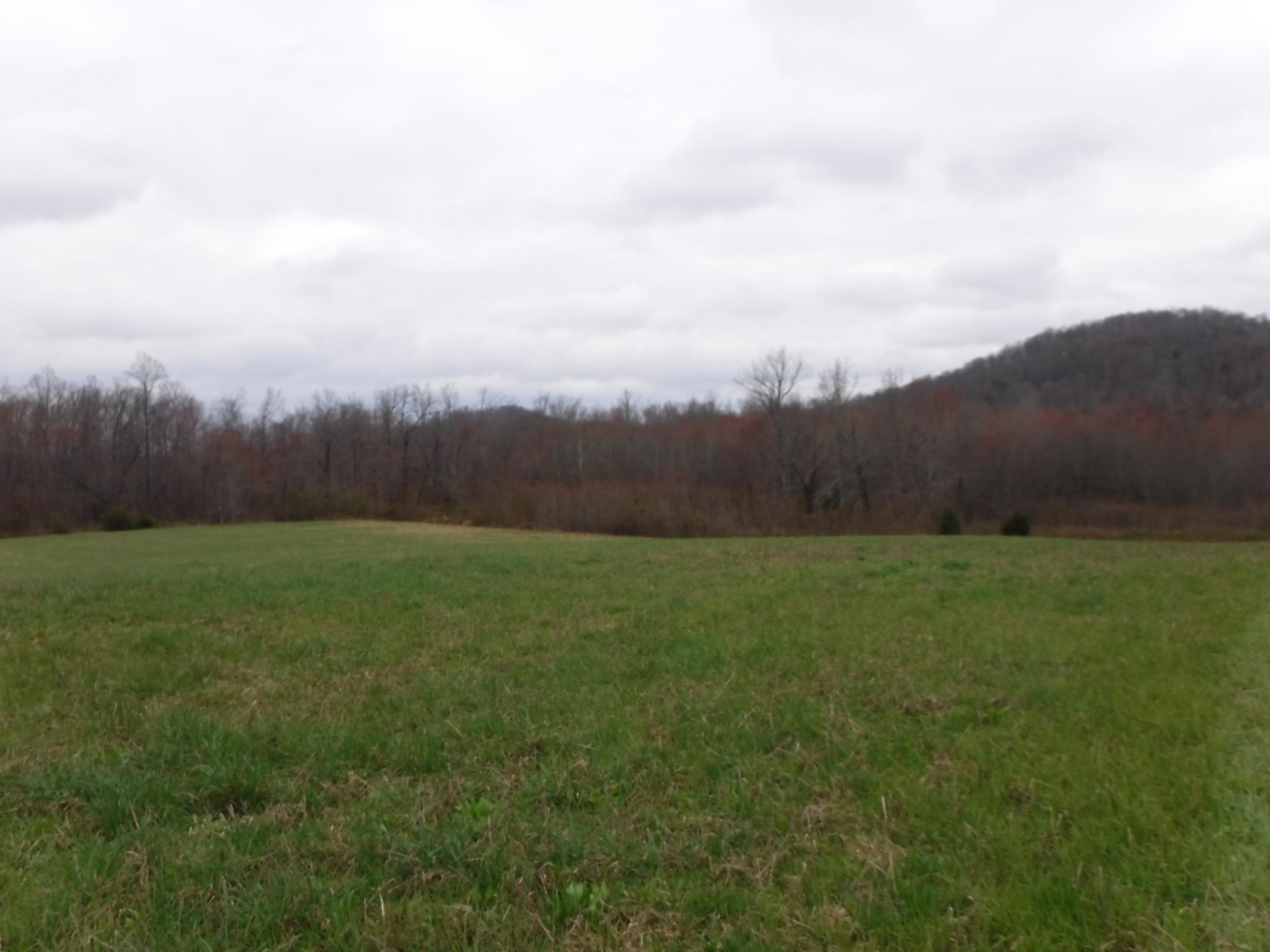 25.10 Summer Shade Road Allons, TN 38541 - Photo 9 of 18 03072018 034