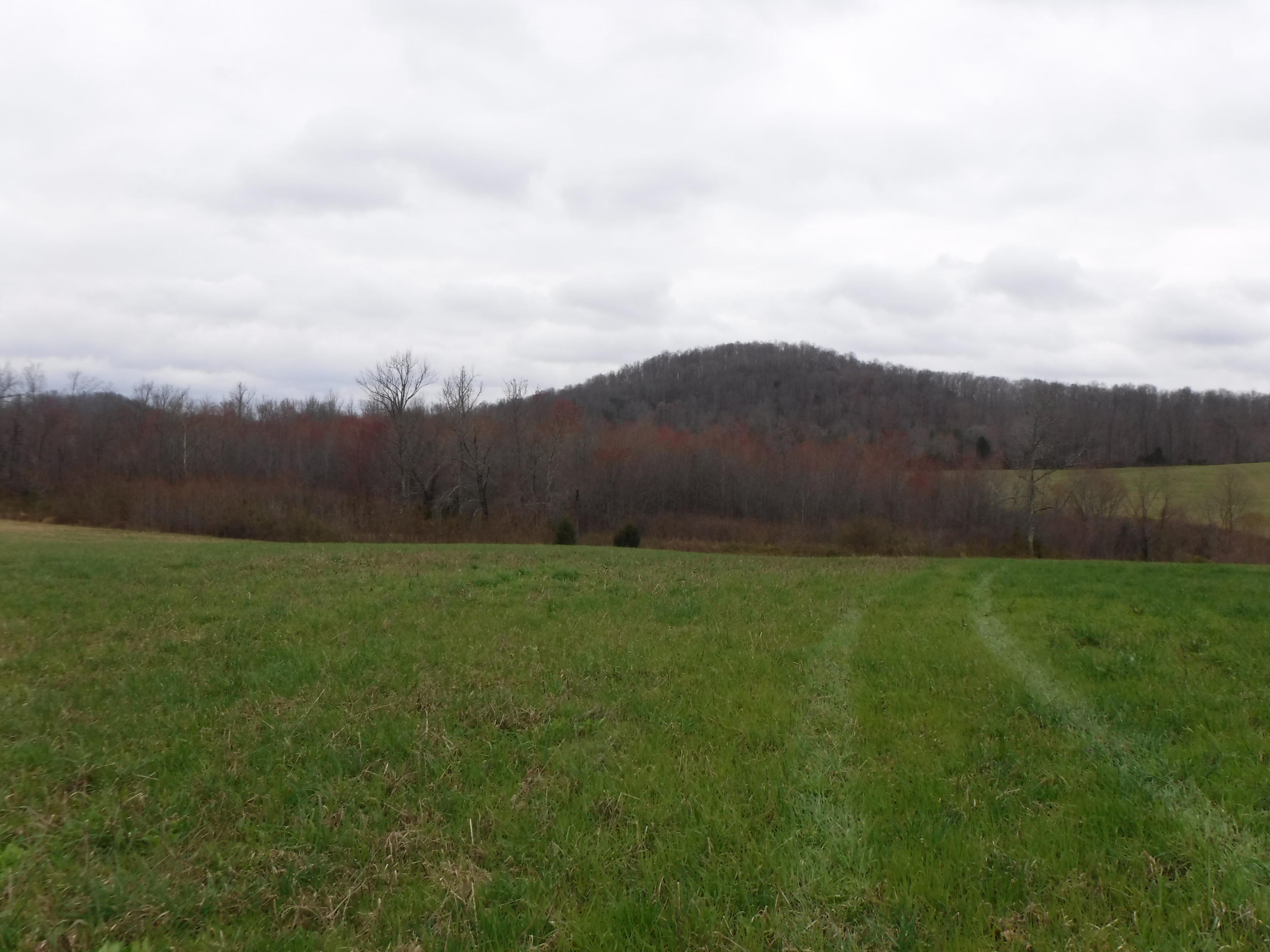 25.10 Summer Shade Road Allons, TN 38541 - Photo 10 of 18 03072018 036