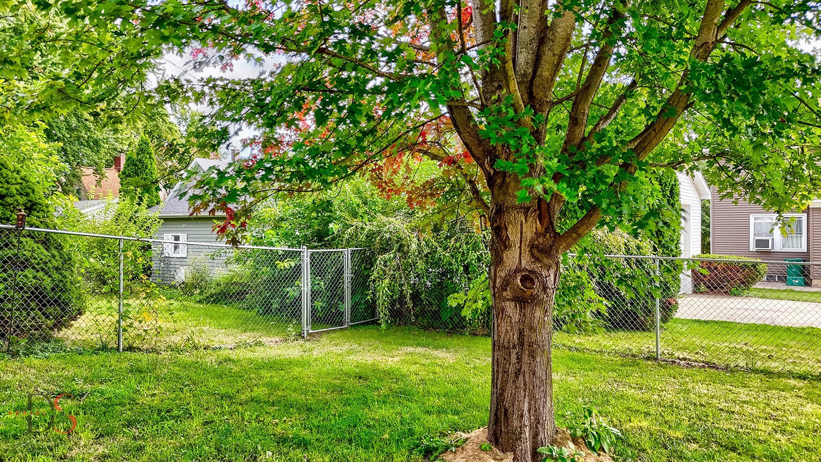 414 West Bluff Street Marseilles, IL 61341 - Photo 22 of 27 a backyard of a house with lots of plants and large trees