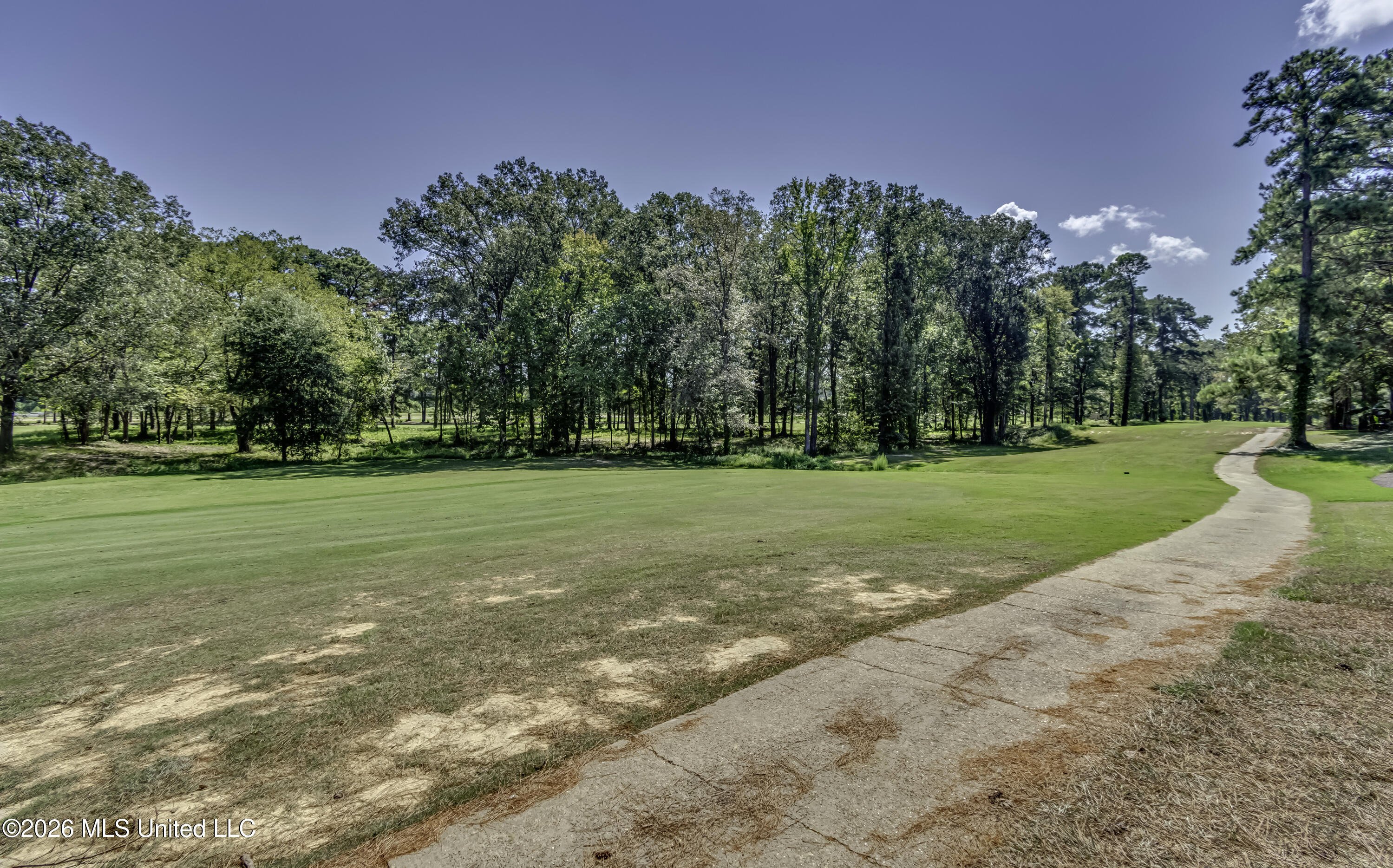 150 Pine Ridge Circle Brandon, MS 39047 - Photo 68 of 78 150 Pine Ridge Cir--11