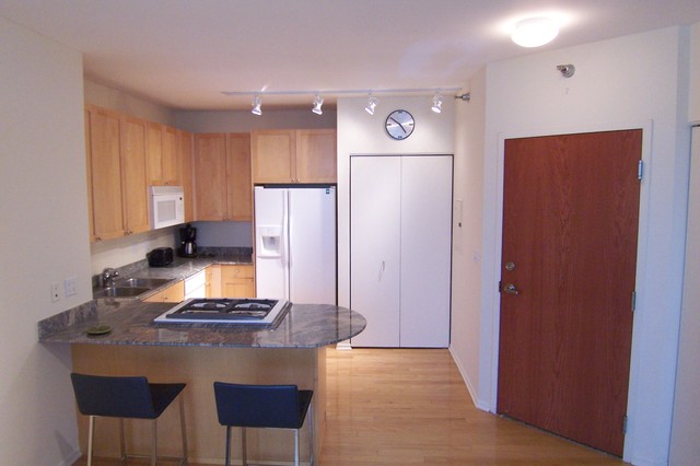 701 South Wells Street, Unit 1107 Chicago, IL 60607 - Photo 4 of 12